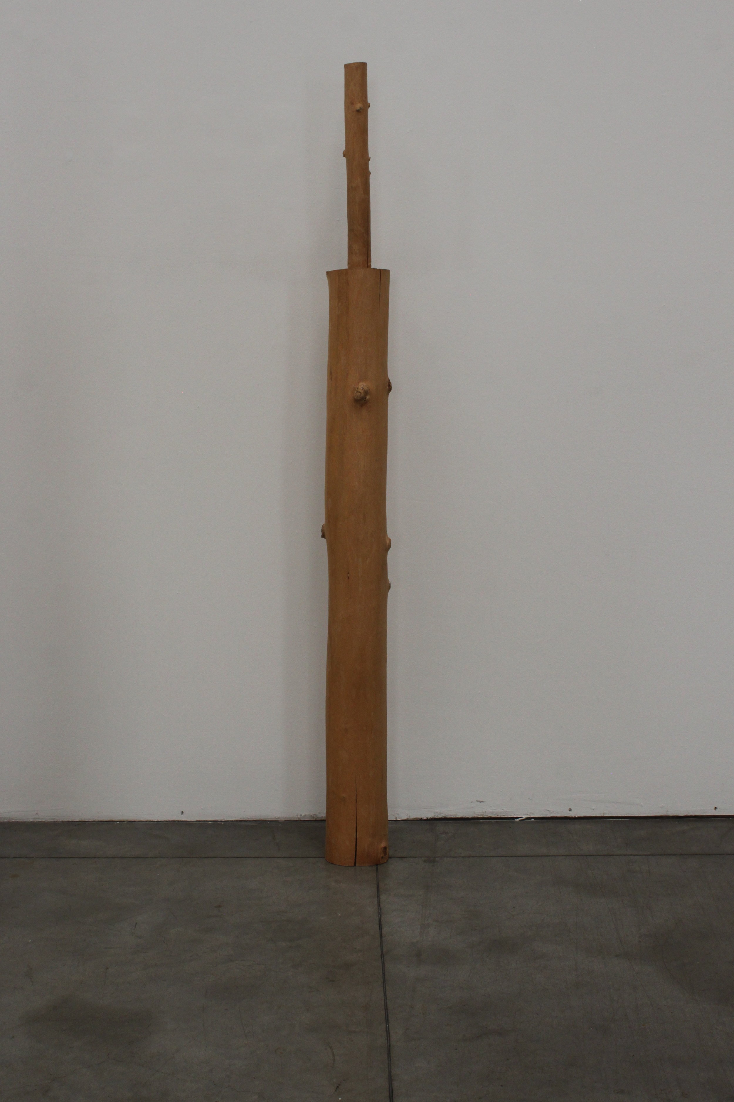  Arnold Holzknecht Es ist was es ist oder Vater mit Kind/2, 2001  157 x 12 x 12 cm 