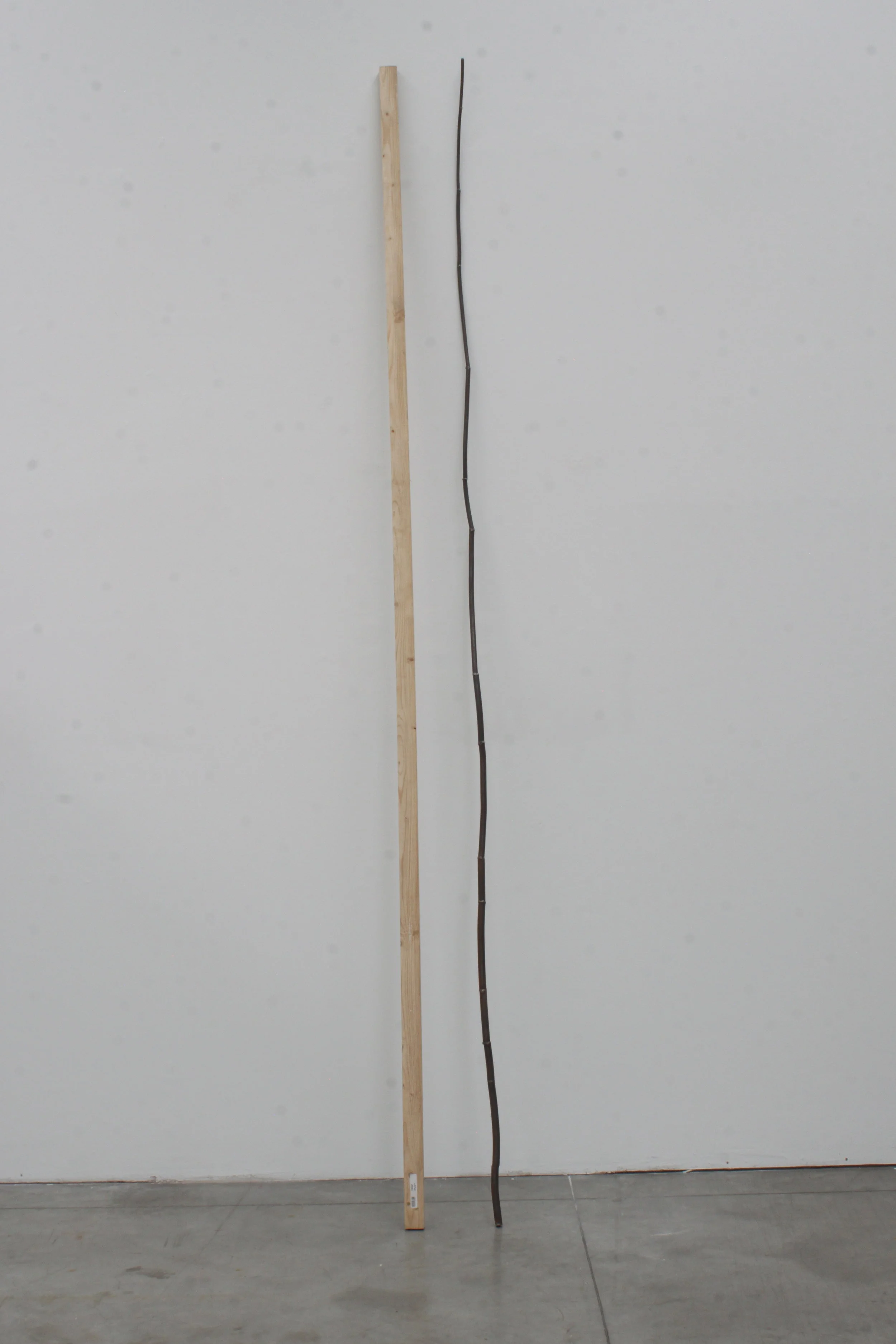  Michele Bernardi Natürliche Linie, künstliche Linie, 2007 300 x 25 x 25 cm 