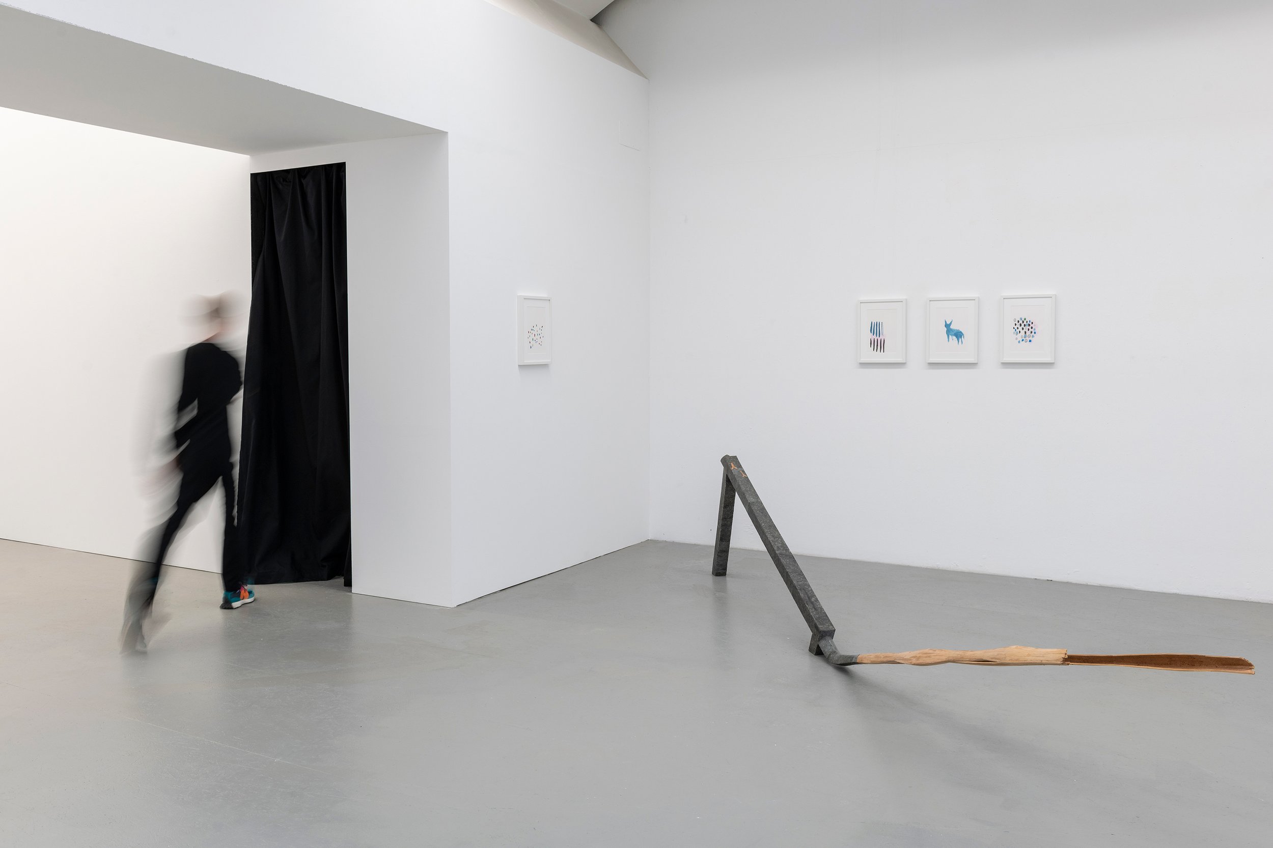 Arnold Holzknecht, Tonico Lemos Auad in The Missing Majority, 2021. Exhibition view, Galleria Doris Ghetta. Ph. Luca Meneghel.jpg