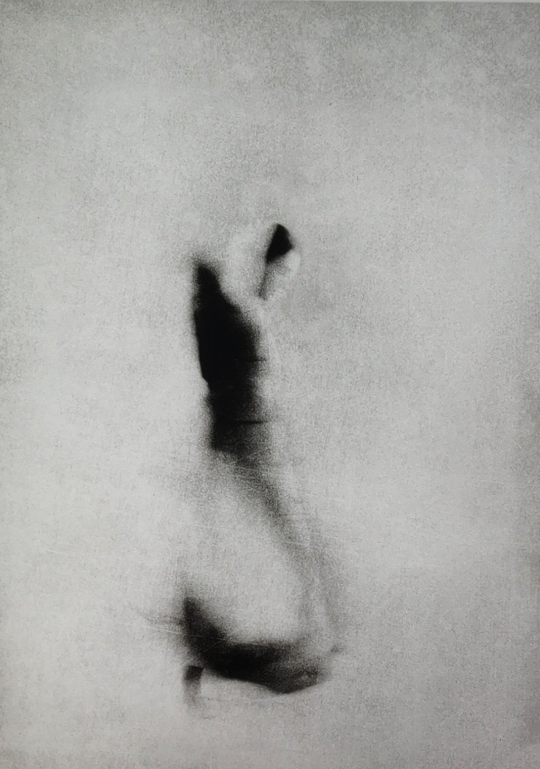 Donata Wenders Studie XVIII, 3/7, 2018 26.80 x 19 cm 1.360,00 € + VAT