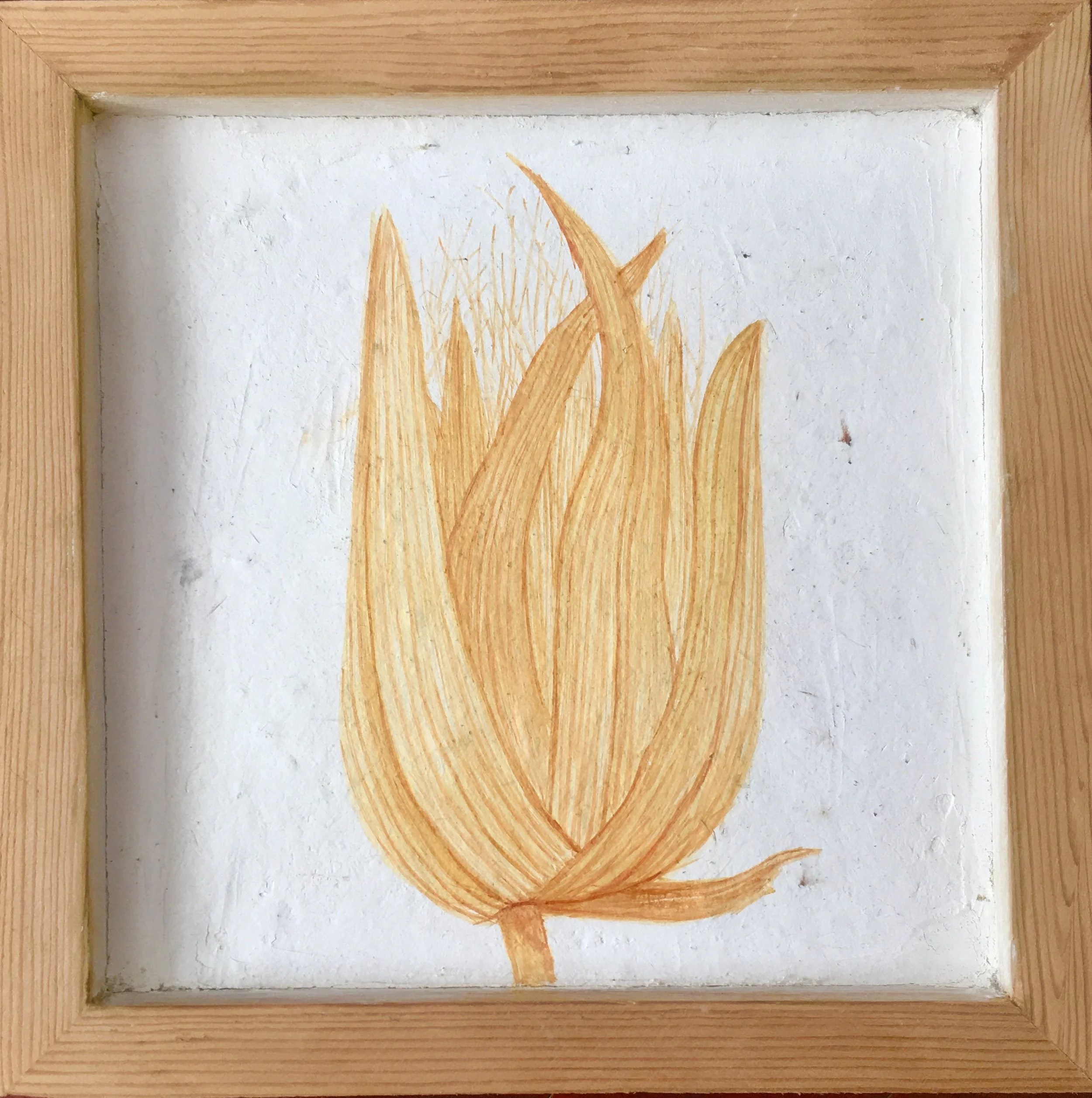 hairy bulb 2, fresco in wood frame, 24x24cm, 2018.jpeg