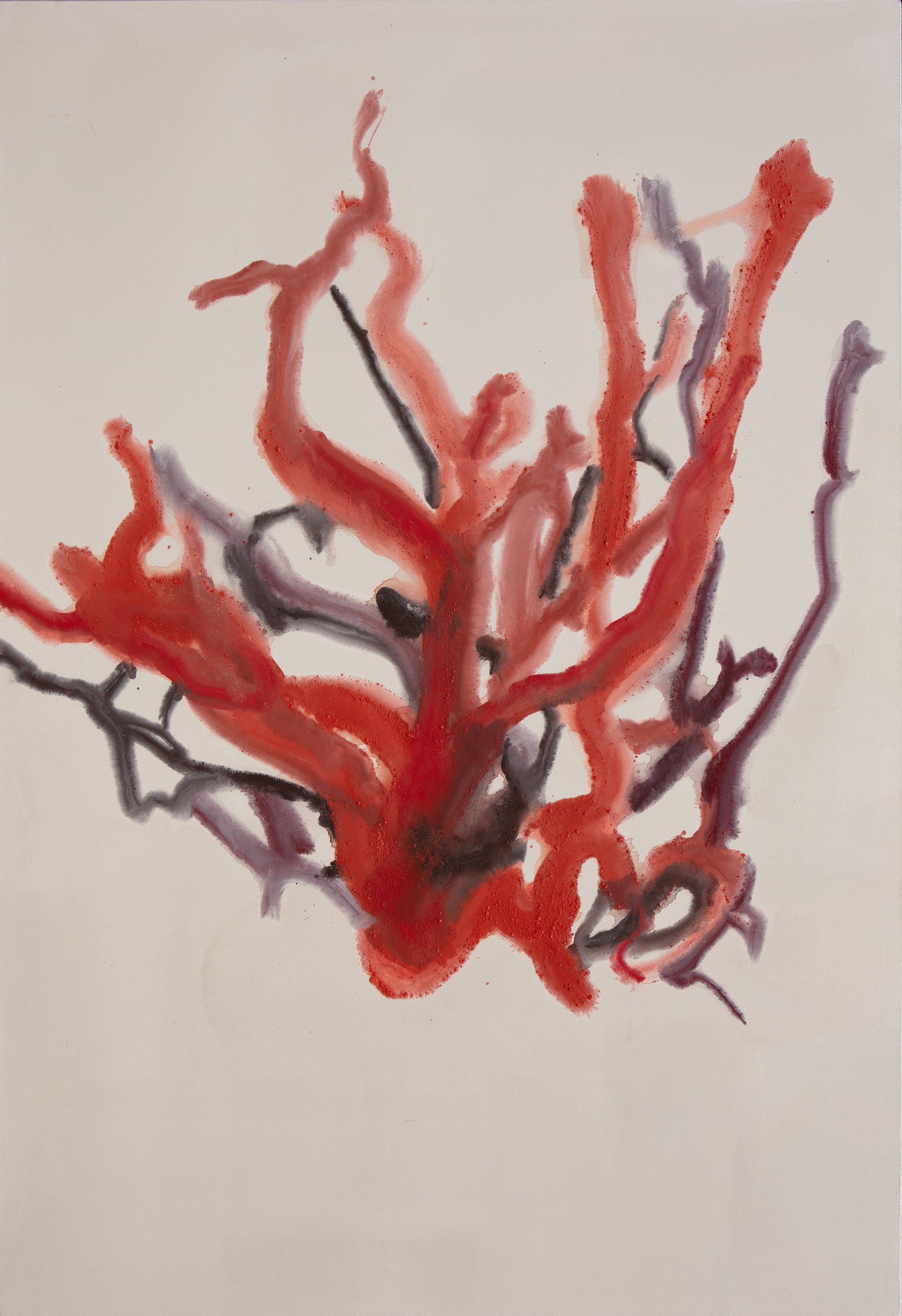1 Coral Branch, 2022 pigment on canvas 130 x 90 cm