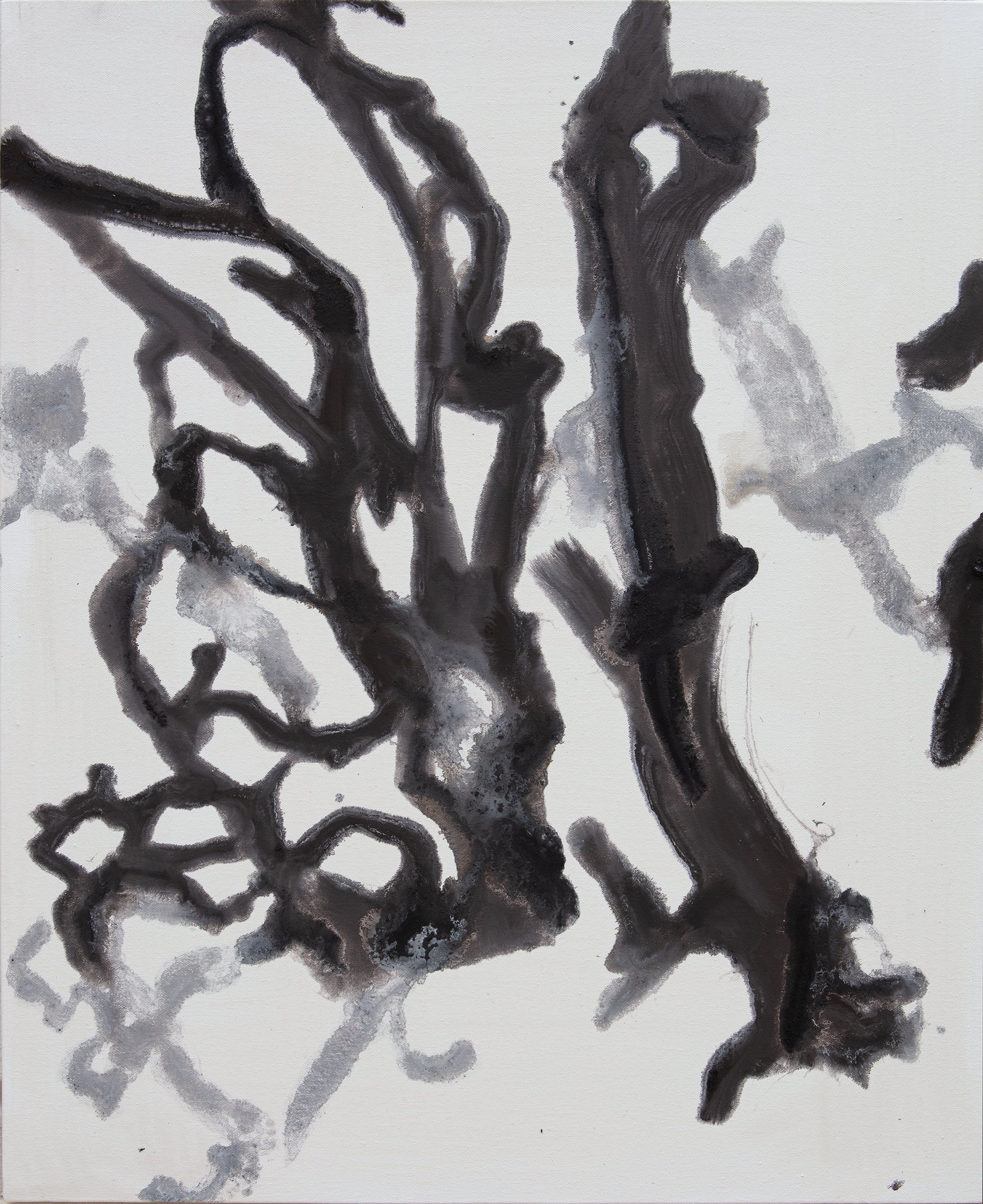 Carbonetta, 2022 pigment on canvas 60 x 50 cm