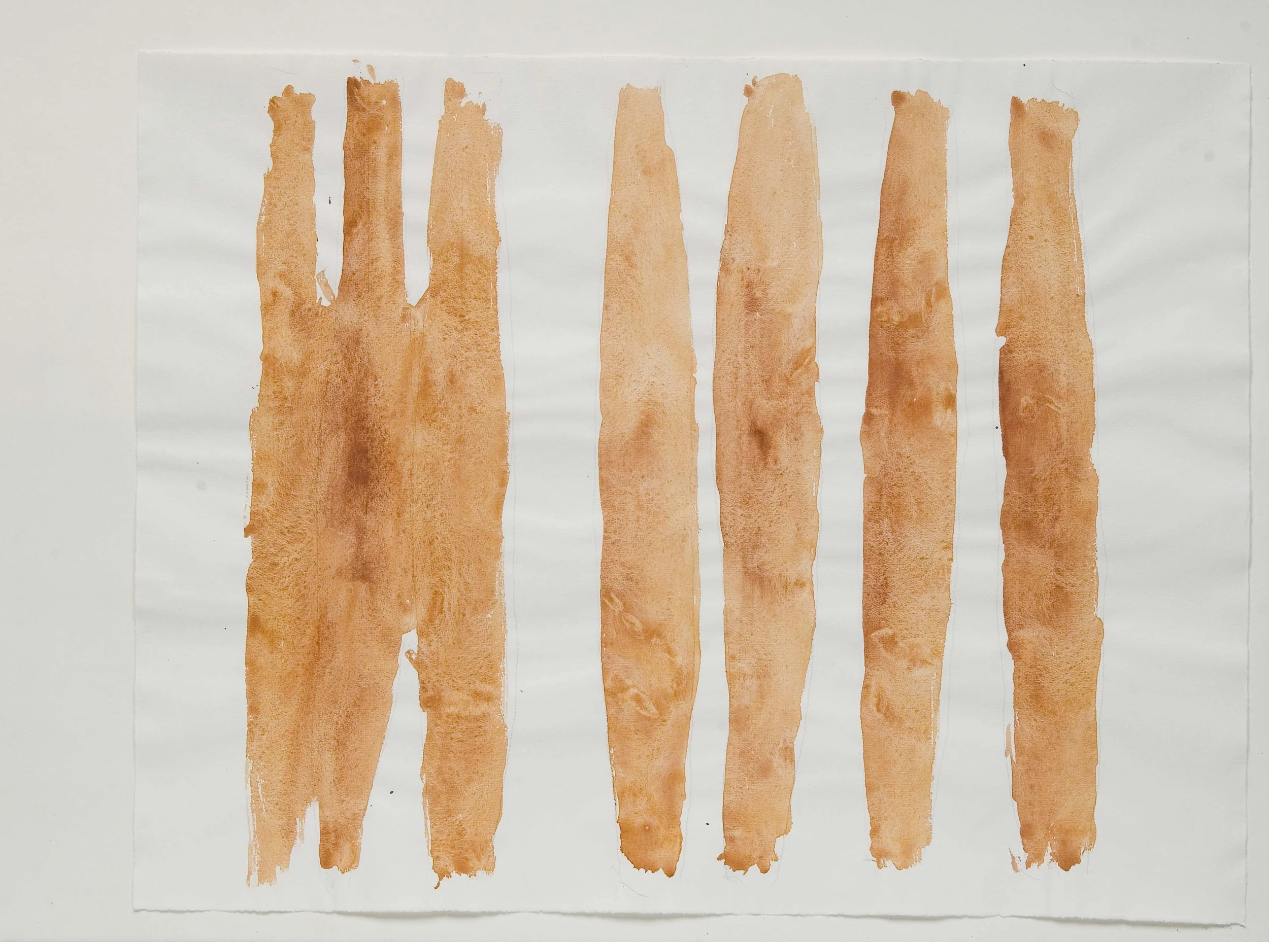  No. WVN_840_RW, untitled, 1983 pigments, oil and arabic gum on rug paper 48 x 625 cm 
