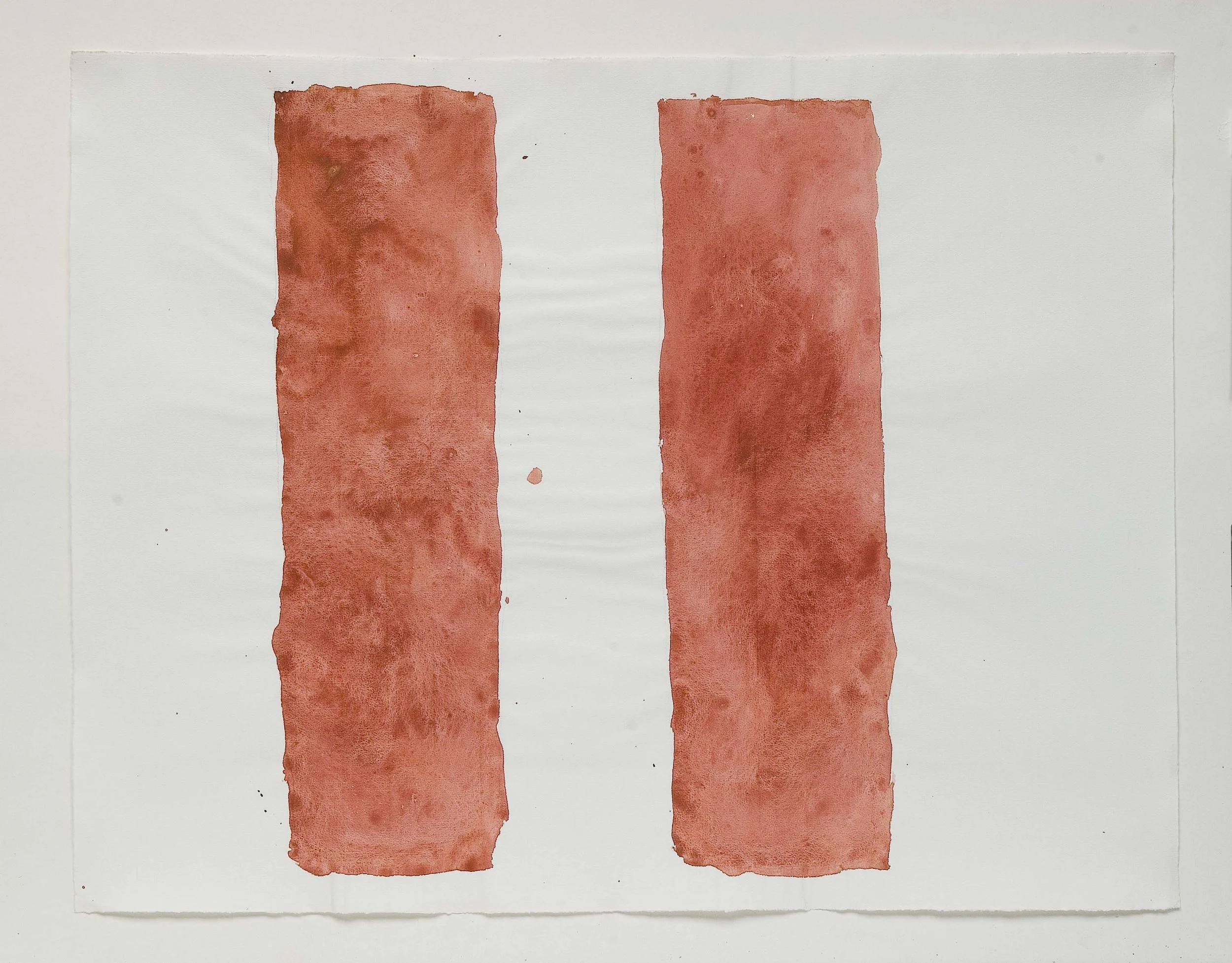  No. WVN_452_RW, untitled, 1982 pigments, oil and arabic gum on rug paper 45.50 x 62.50 cm 