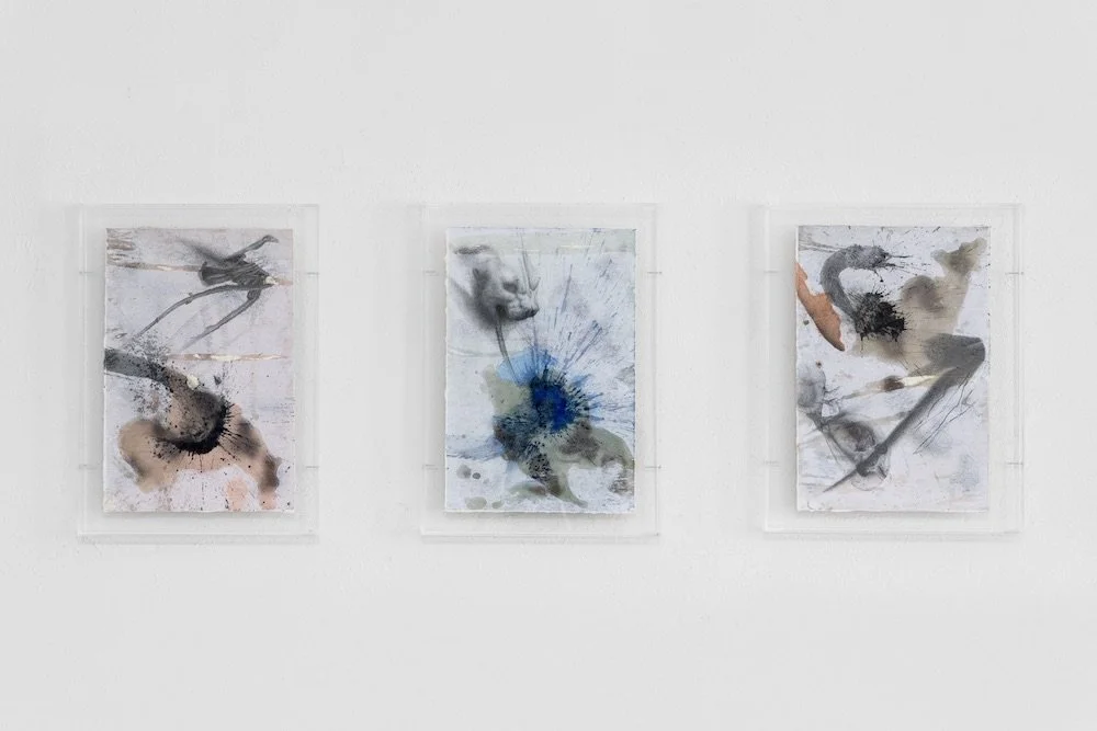 ph @piercarloquecchia @dsl__studio 2025