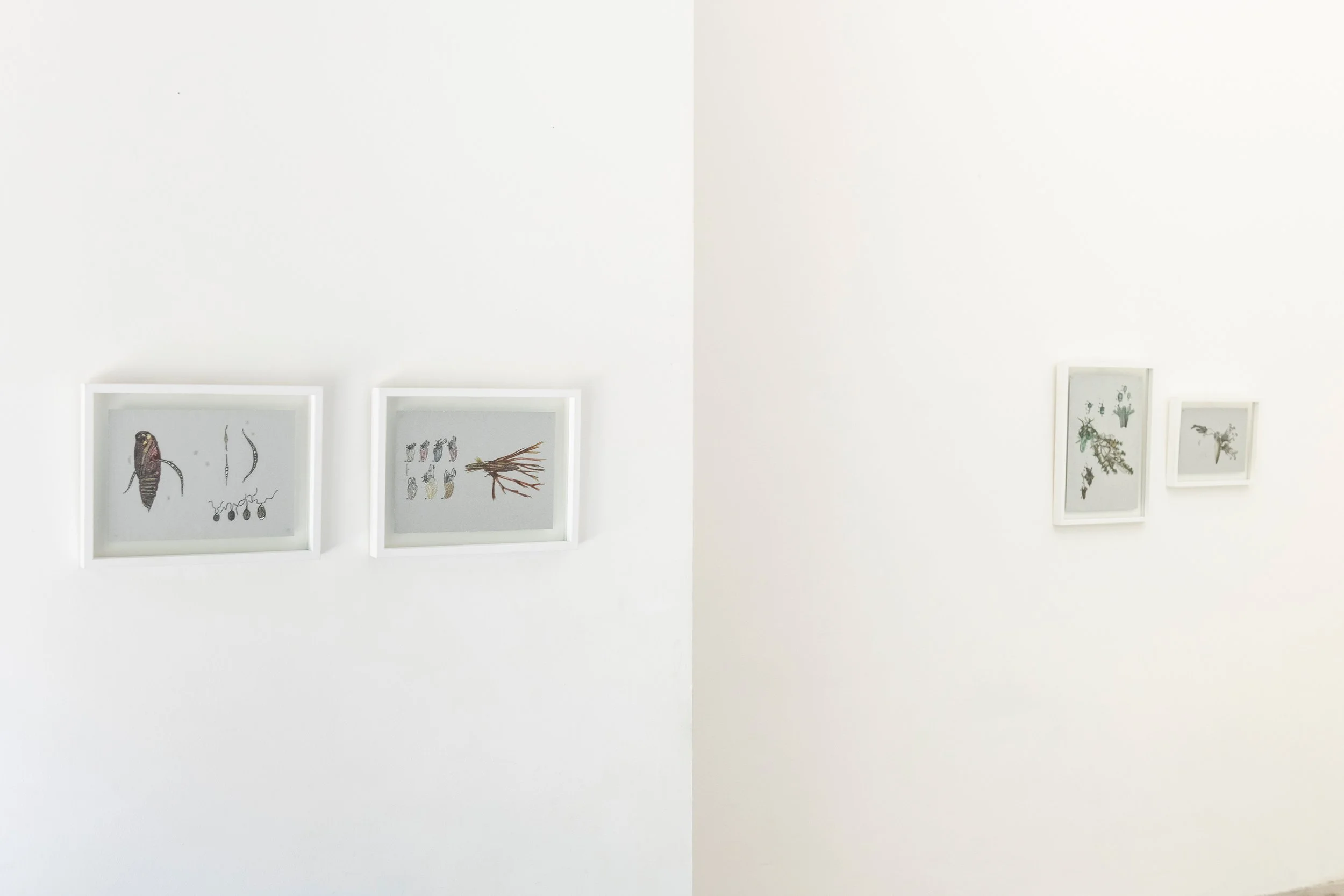 Installation view, ph Luca Meneghel