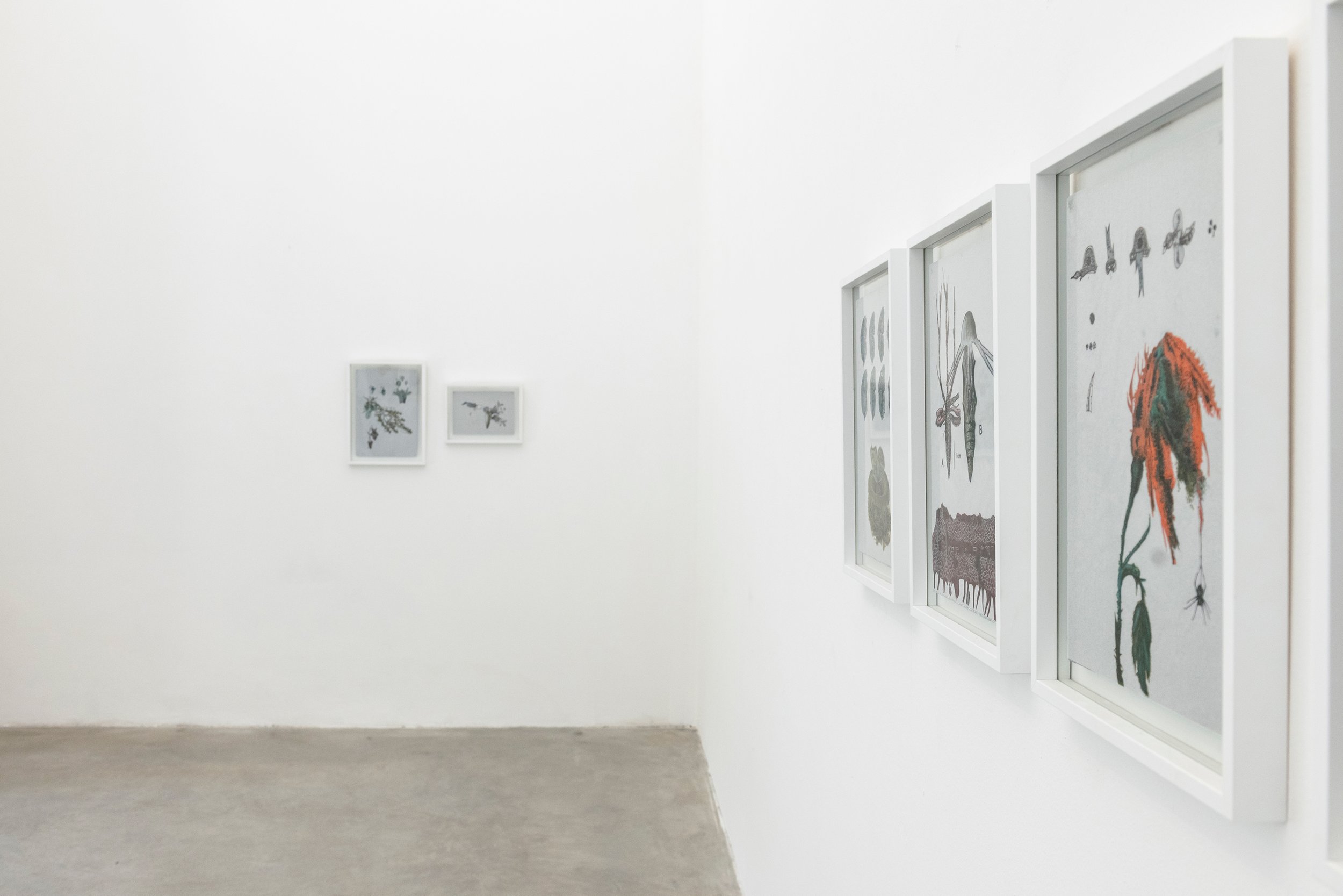 Installation view, ph Luca Meneghel