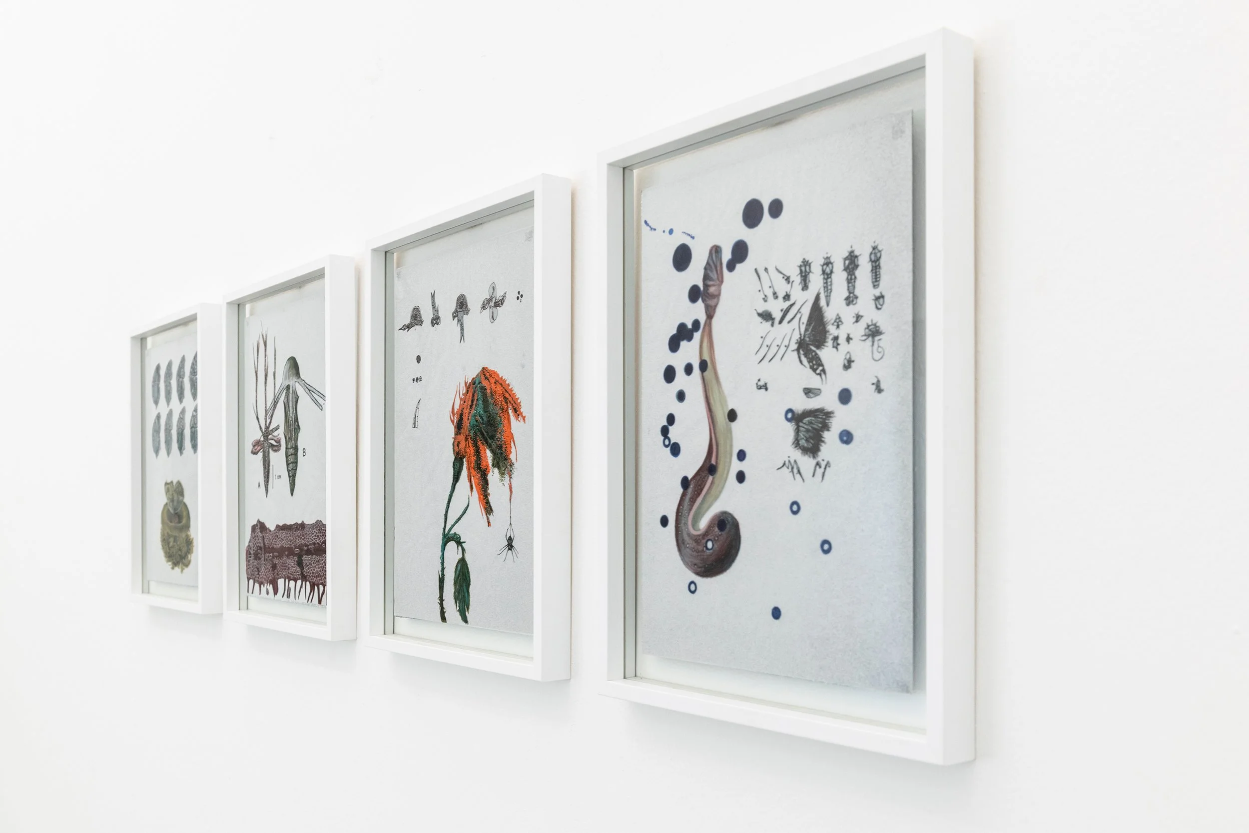 Installation view, ph Luca Meneghel