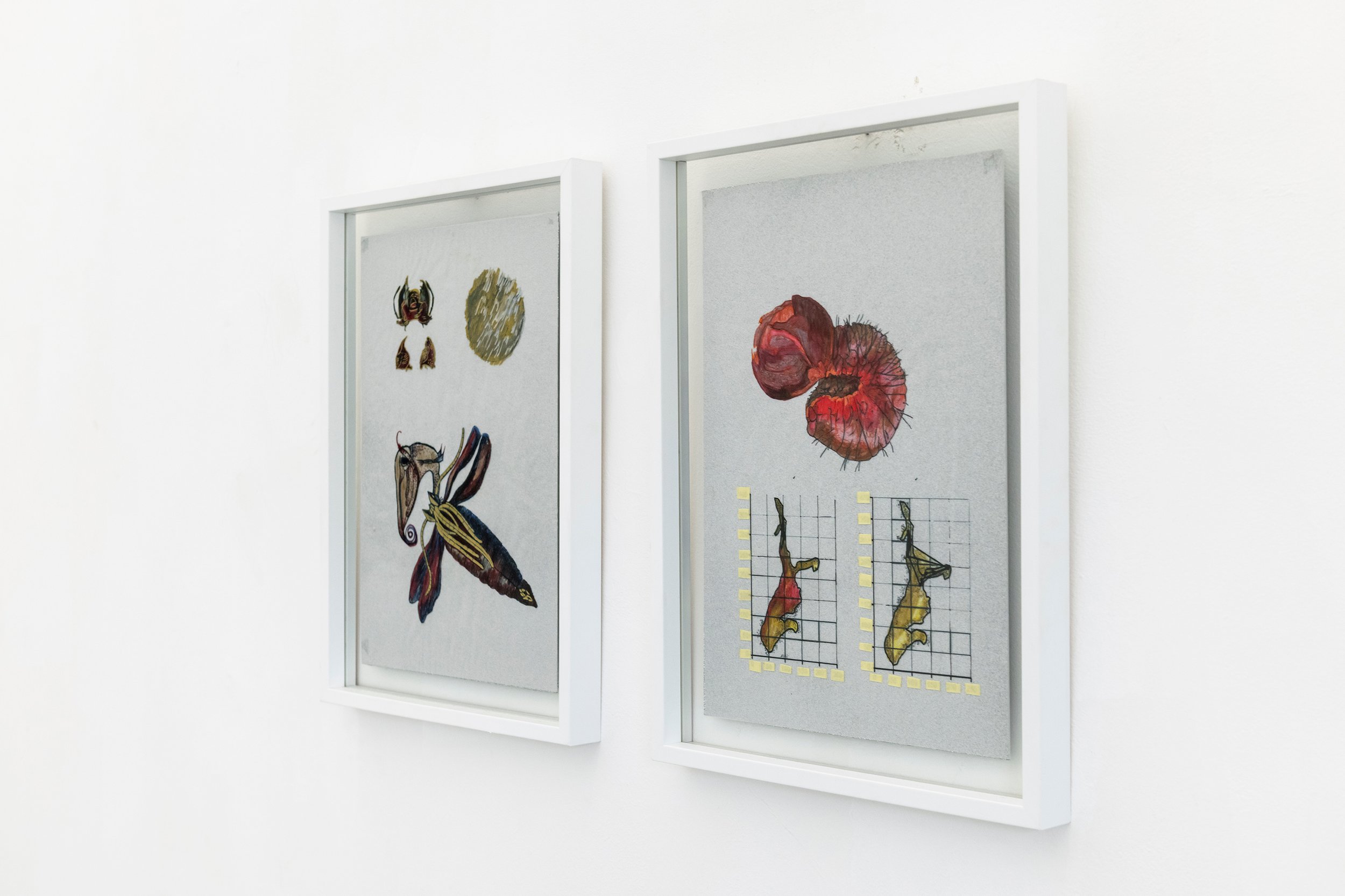 Installation view, ph Luca Meneghel