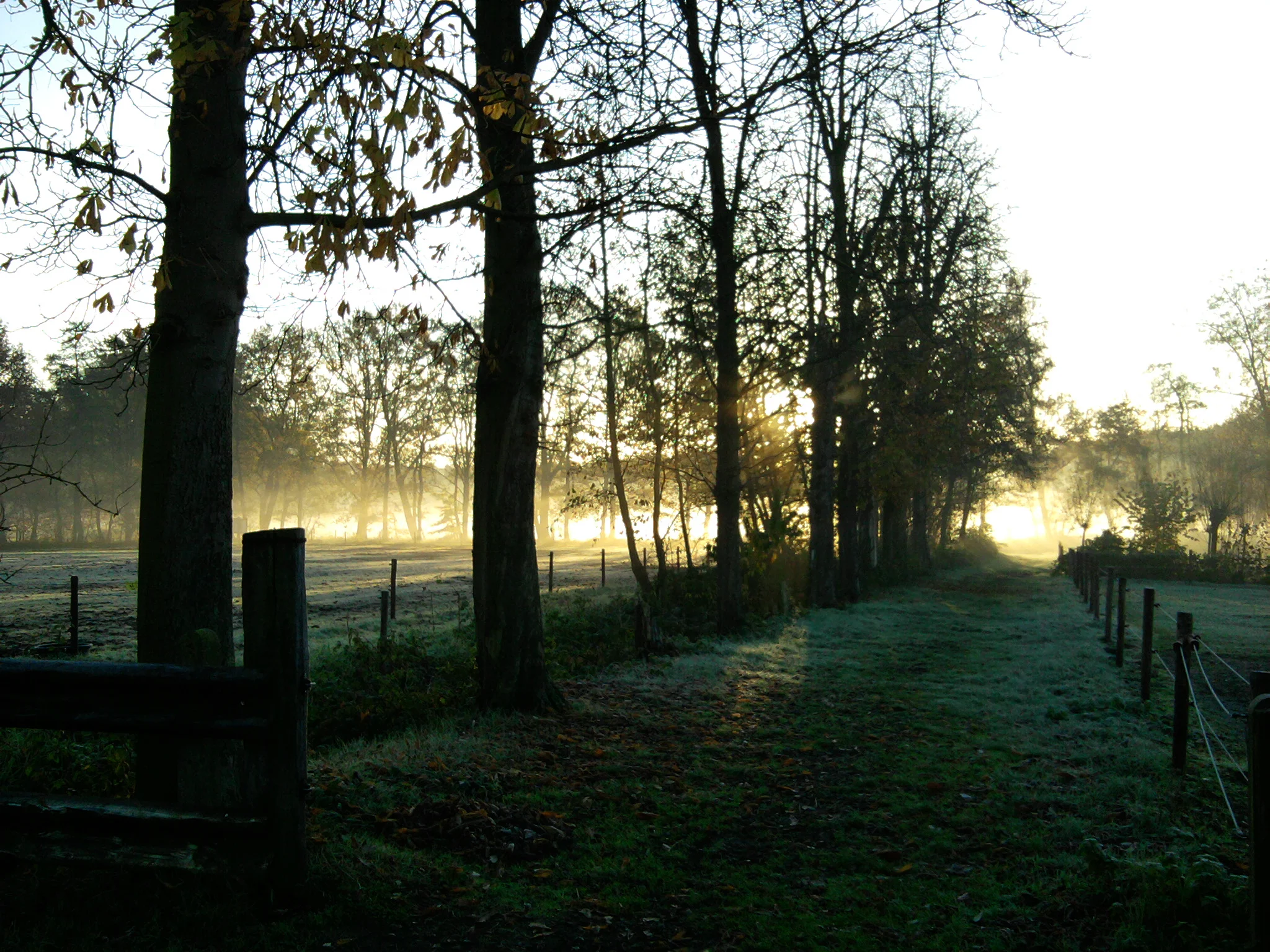 2013-11-20 08.59.02.jpg