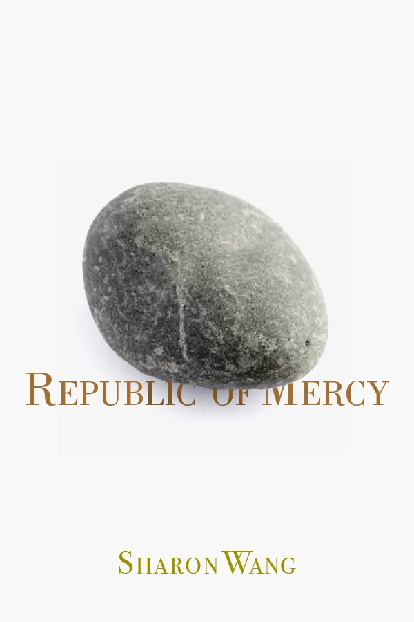 republicofmercycover9-7-18gray.jpg