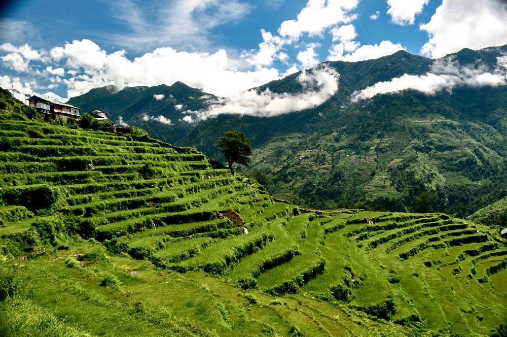 Pokhara