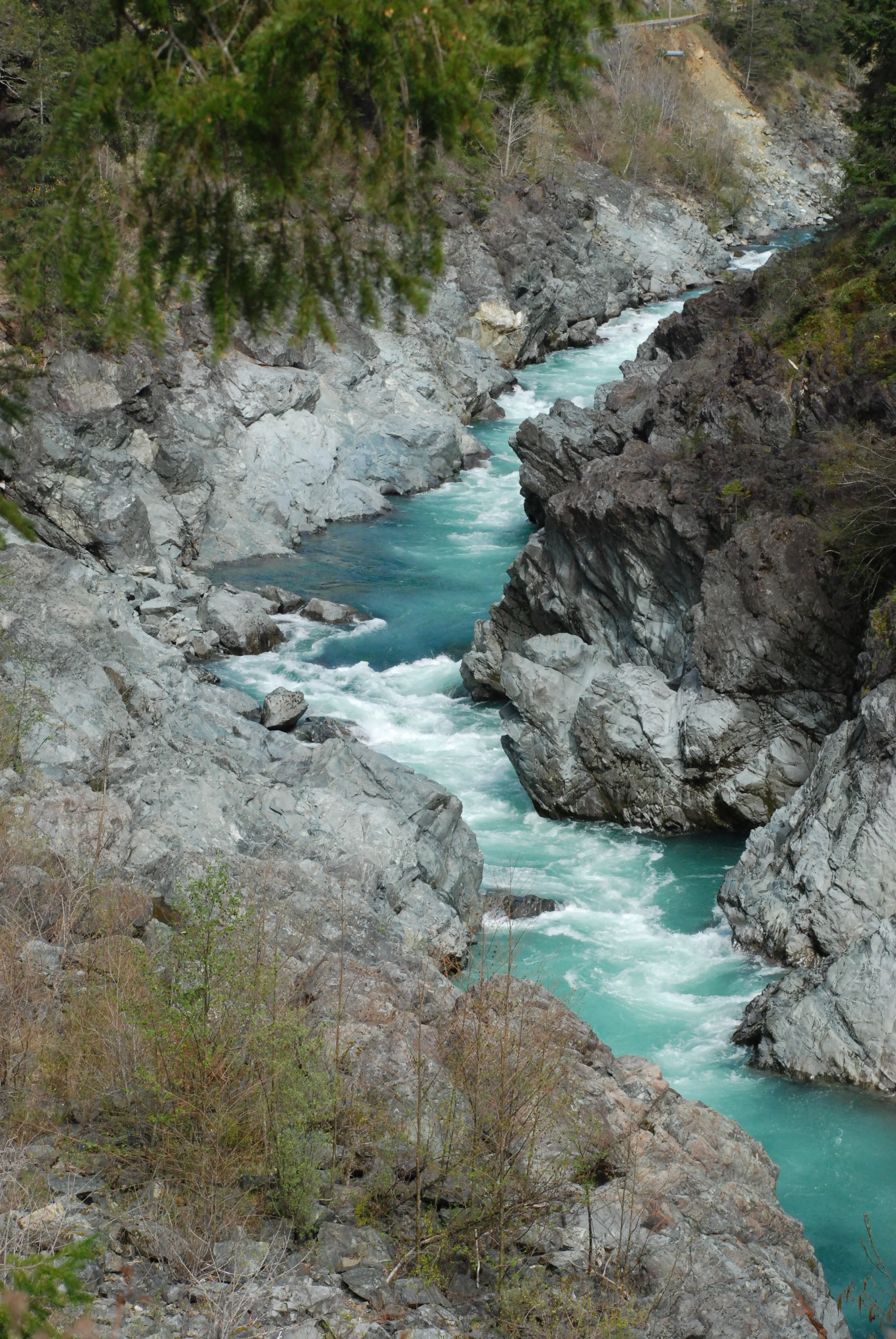 DSC_0302.JPG