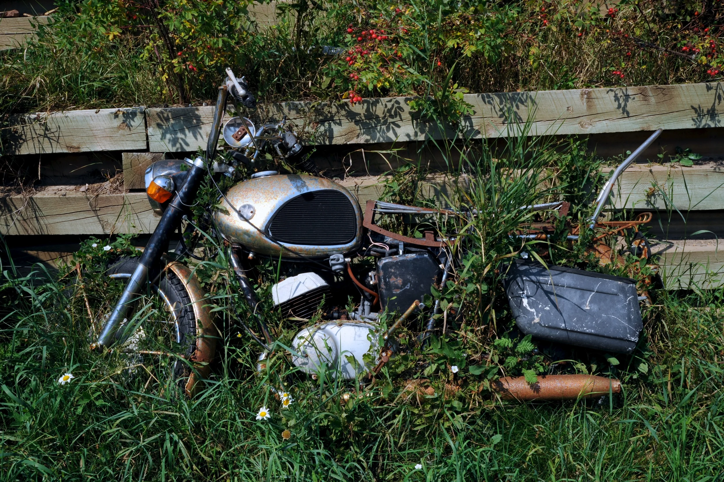 DSC_0061.jpg