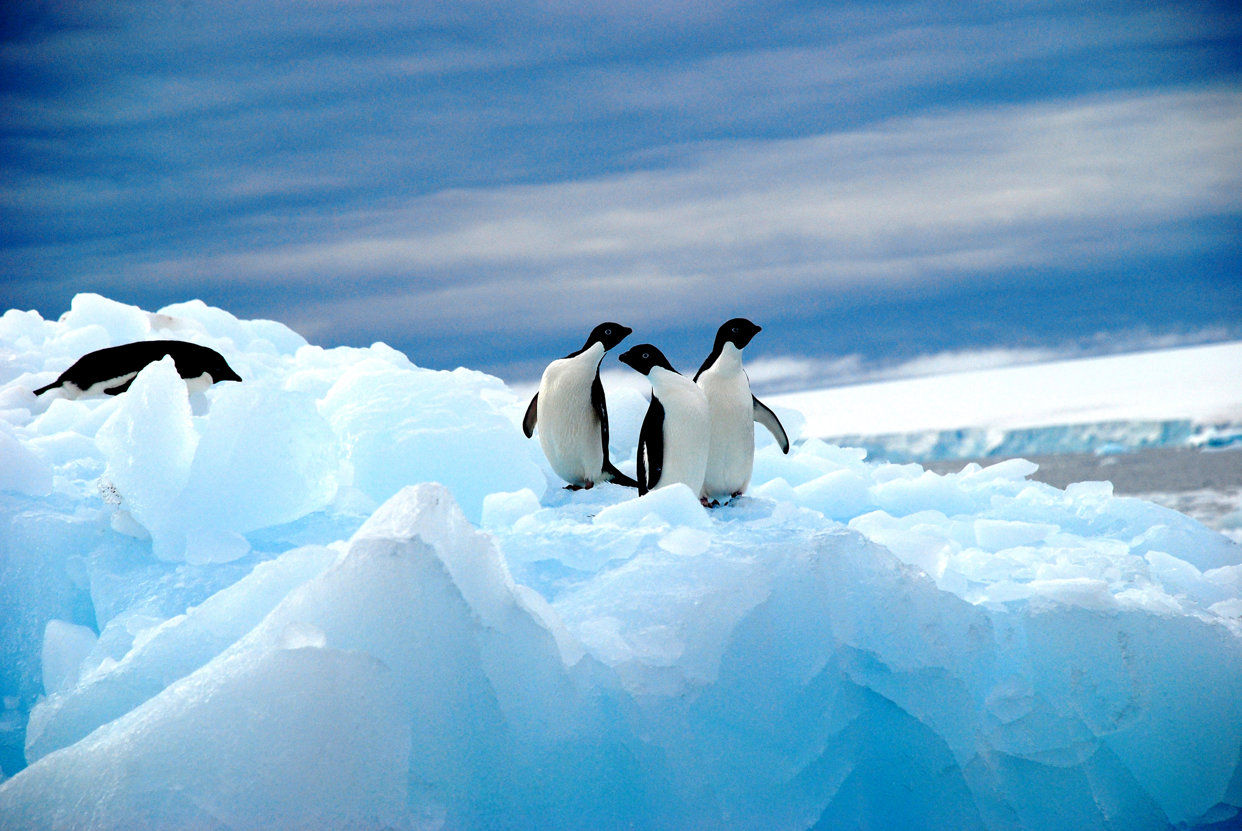 Wenker_Antarctic_0013.jpg