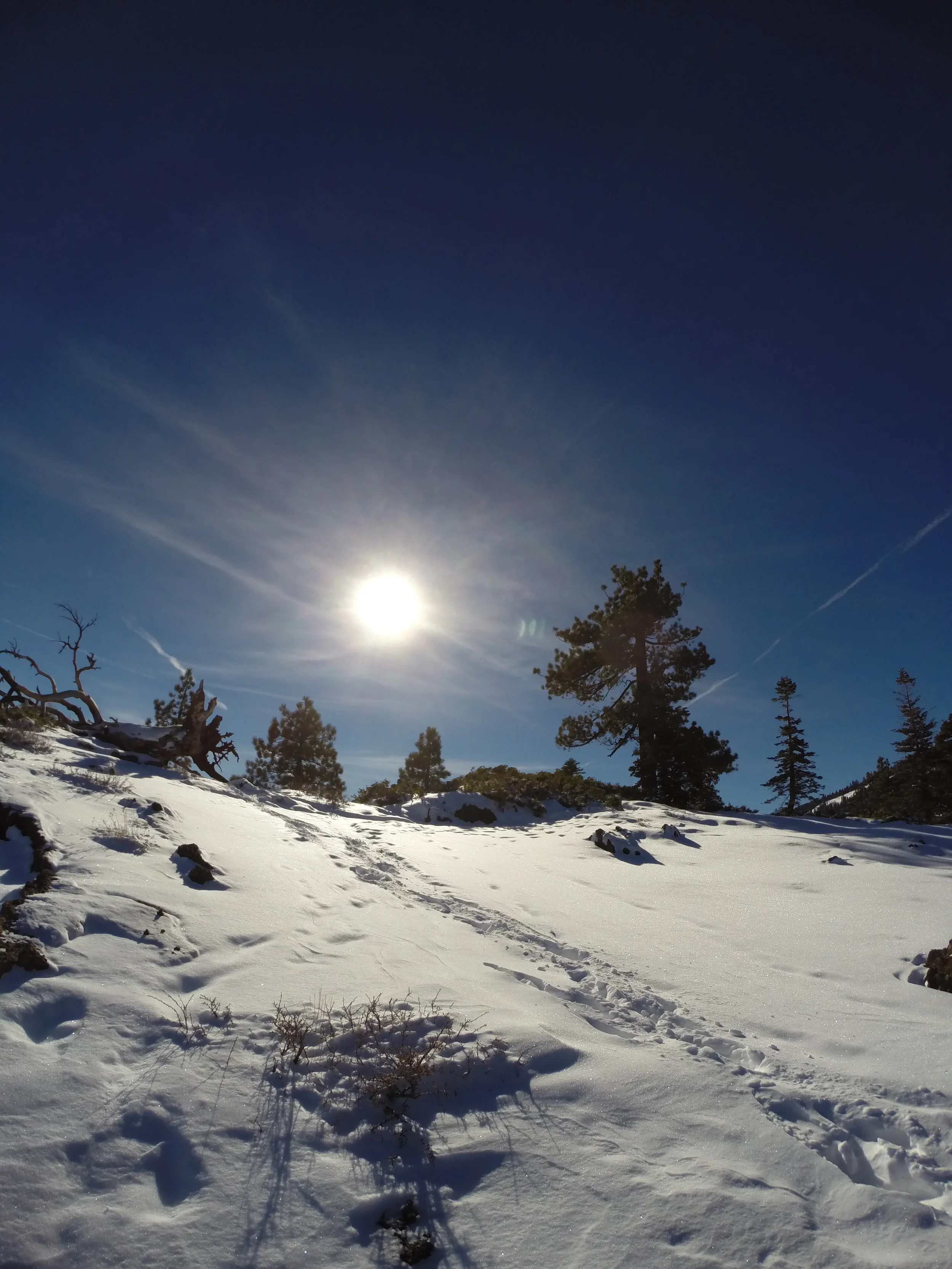 lakehike.JPG