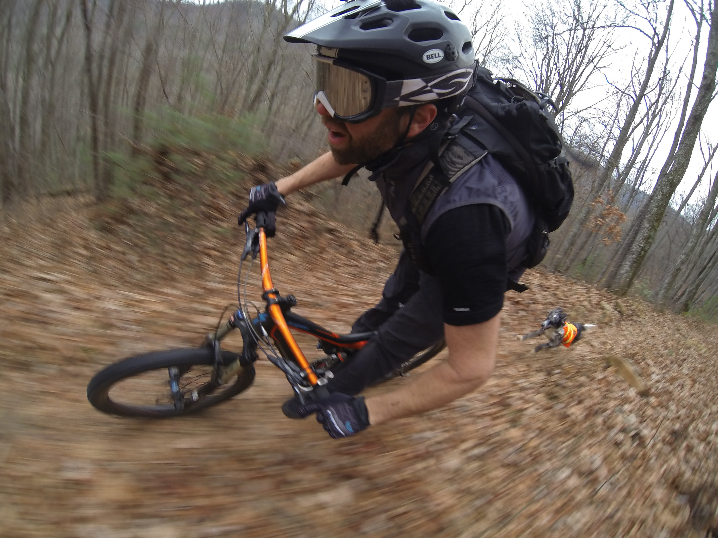 Afternoon ride at Bent Creek with my dog