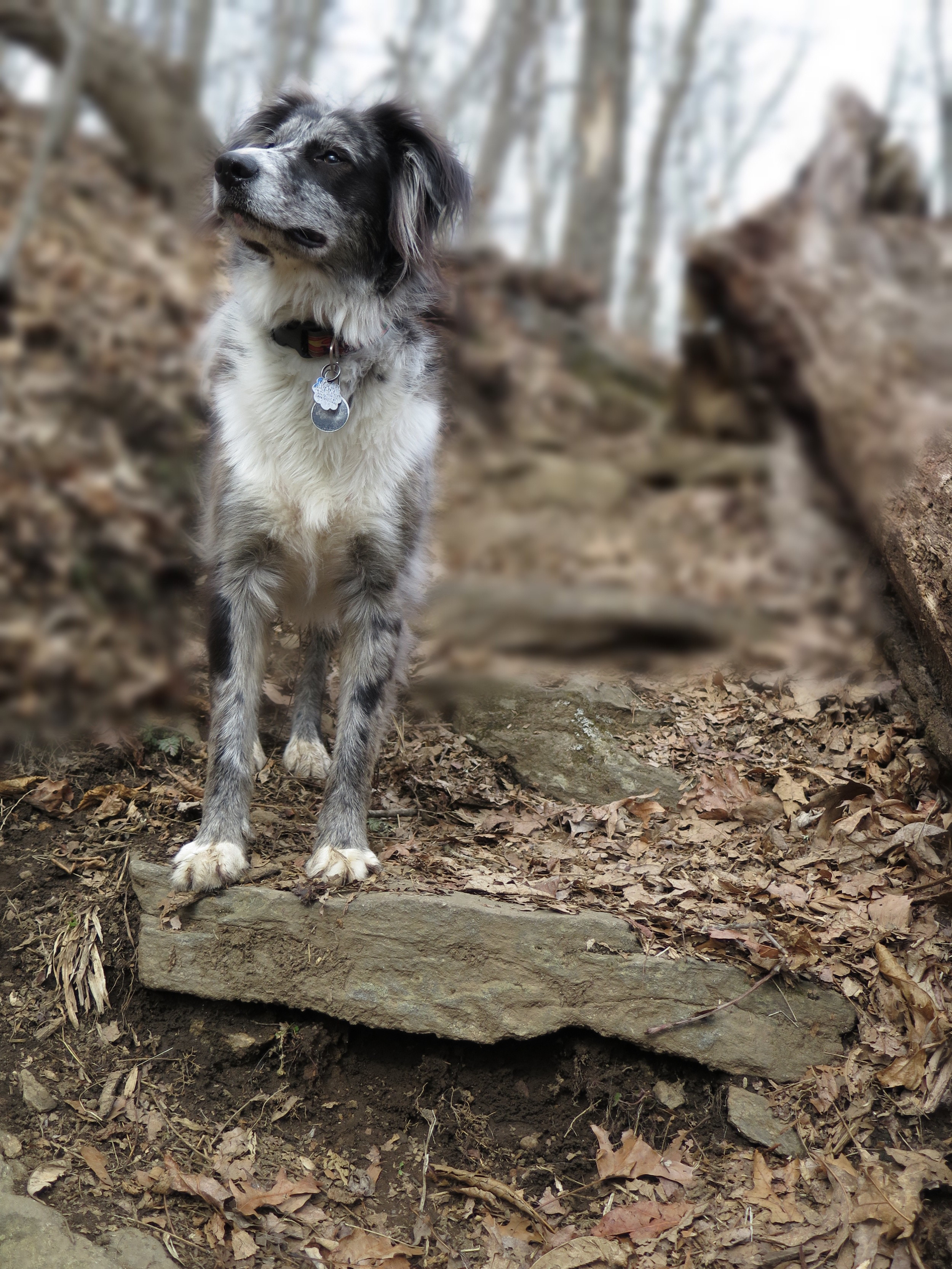 2:9:14 will hiking.JPG