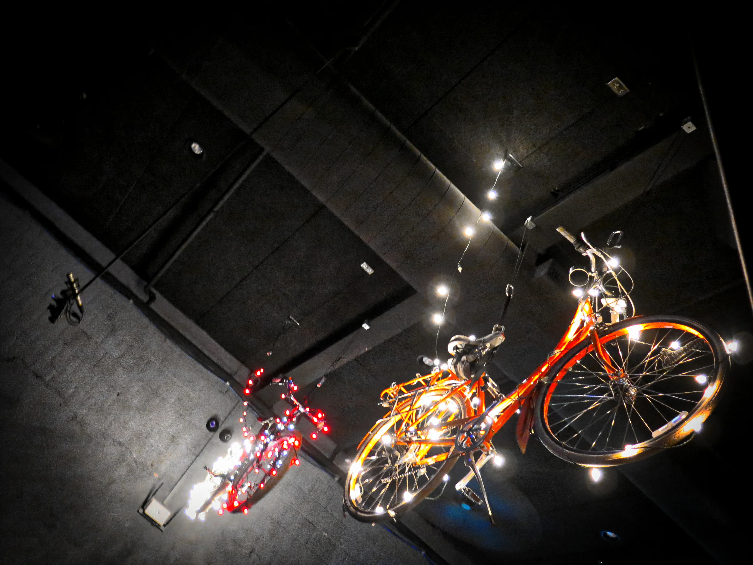 bikelovebest2.jpeg