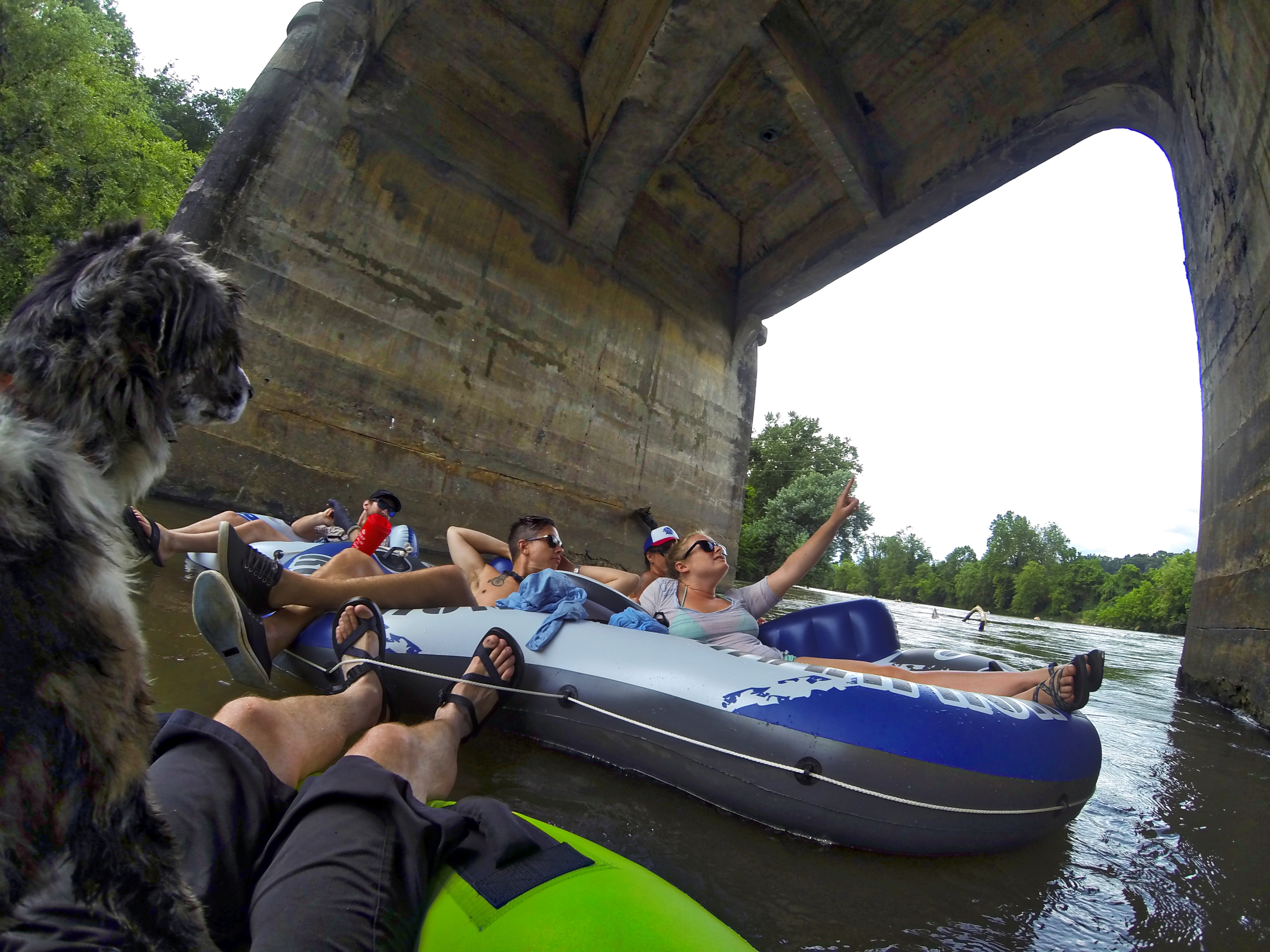 Tube party on the French Broad River