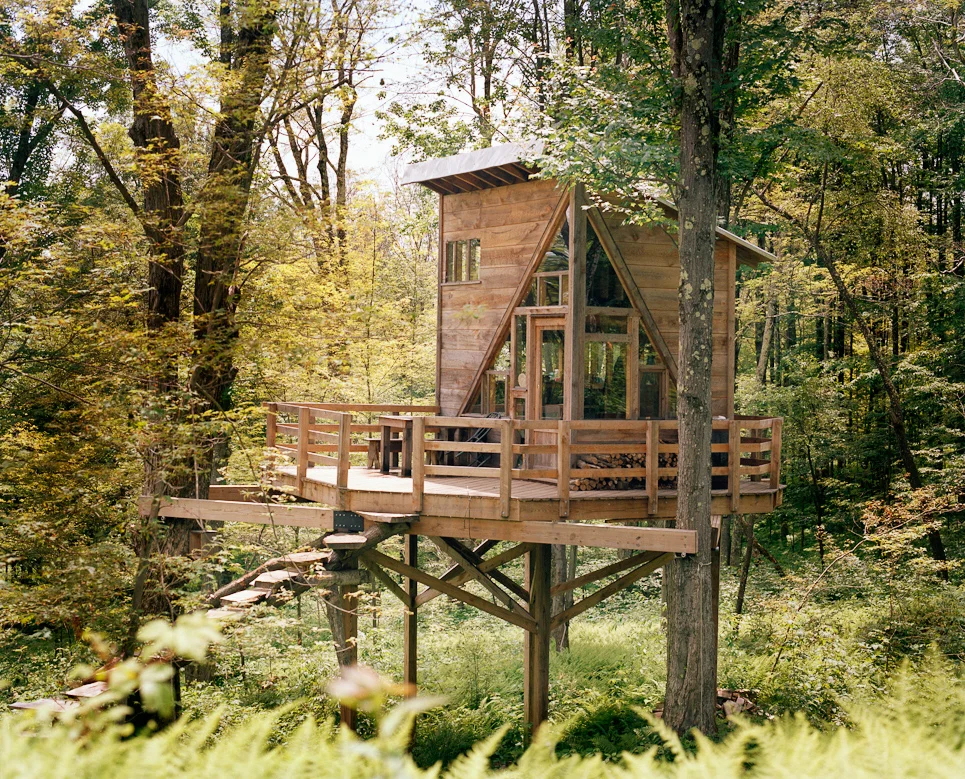 treehouse.jpg