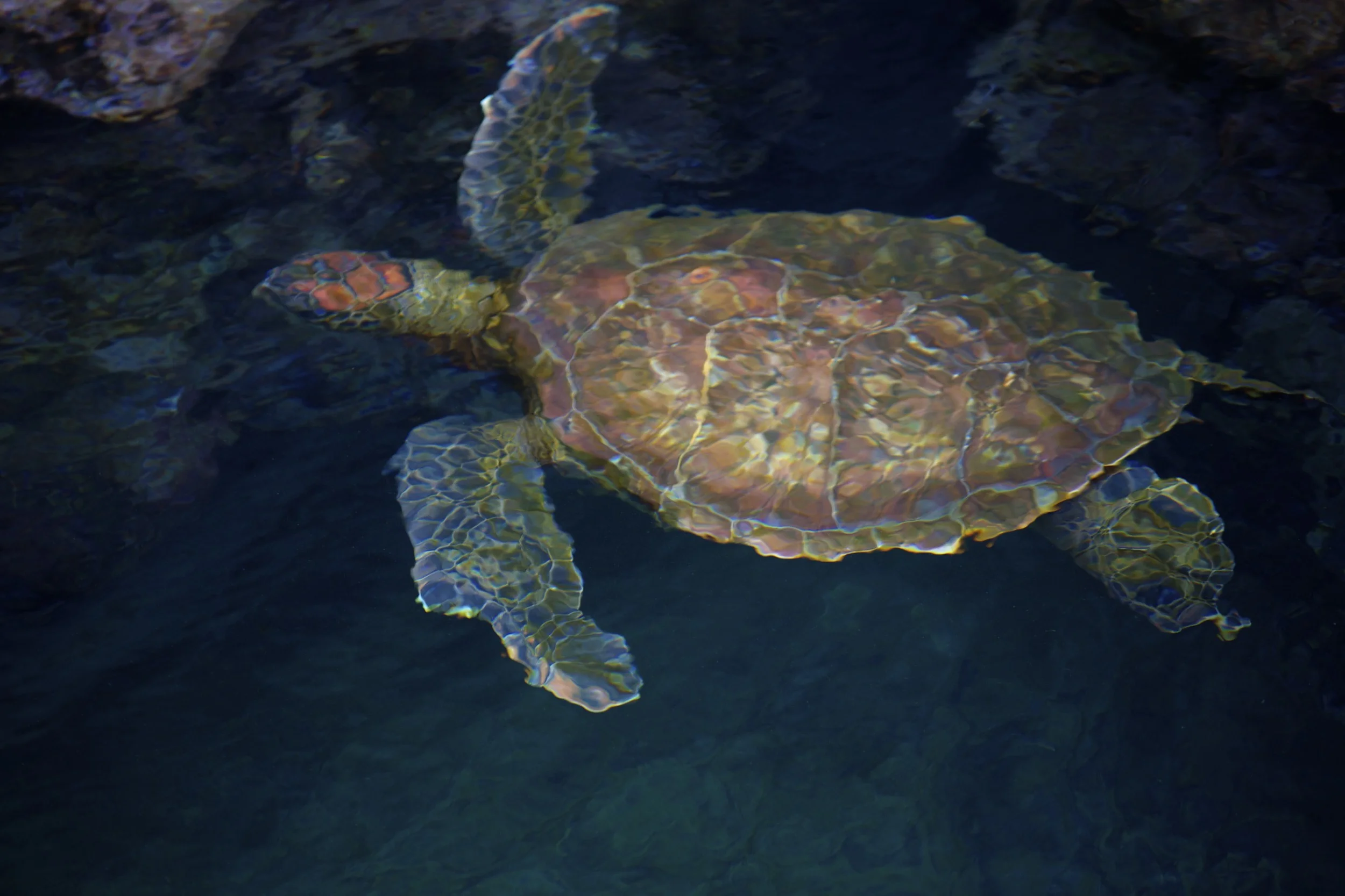 CelebGalap_2013-08-05_148 - Version 2.jpg