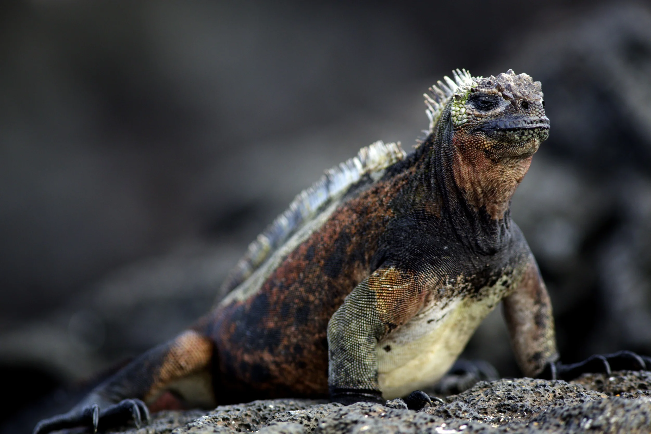 CelebGalap_2013-08-05_167 - Version 2.jpg