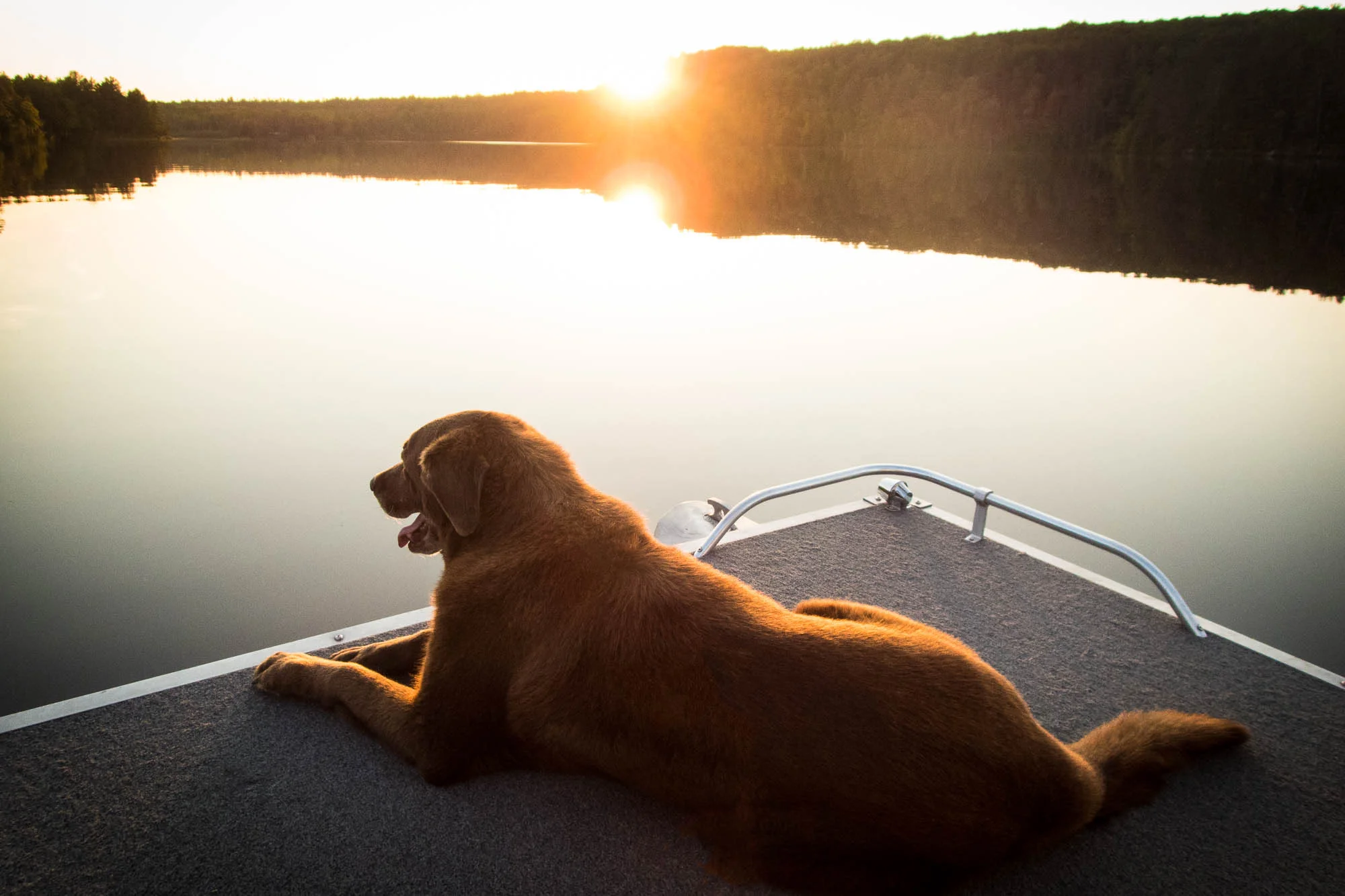 TimAddy Cottage 0249_2015-06-23-Edit.jpg