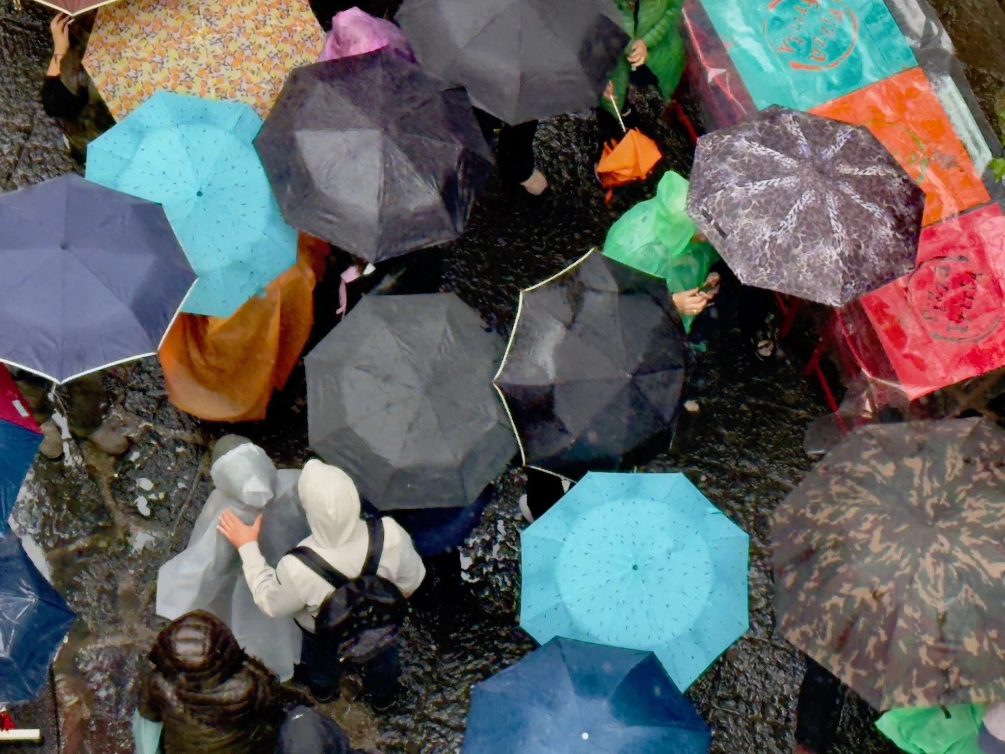 Umbrella Naples Nov 23  4.jpeg