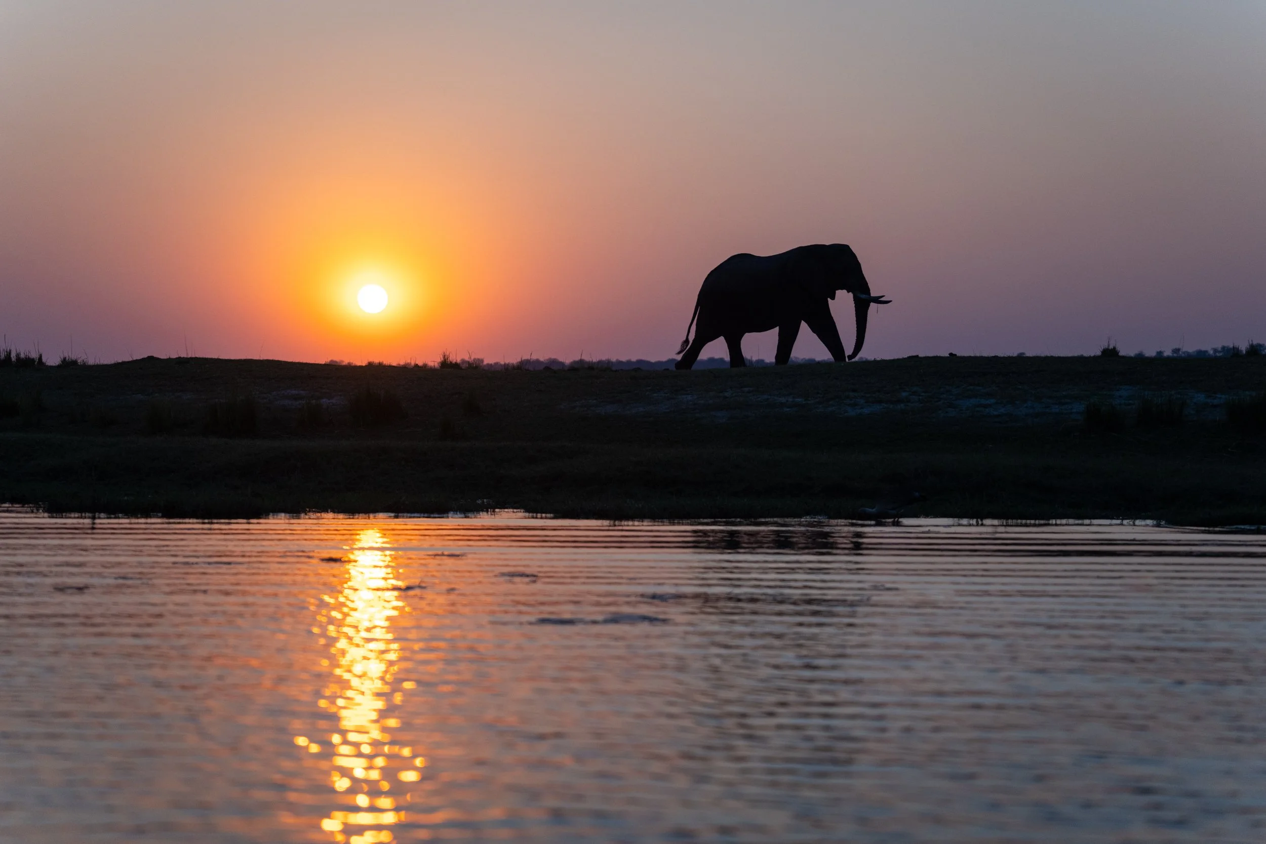 Chobe River - 09042025 - 07945.jpg