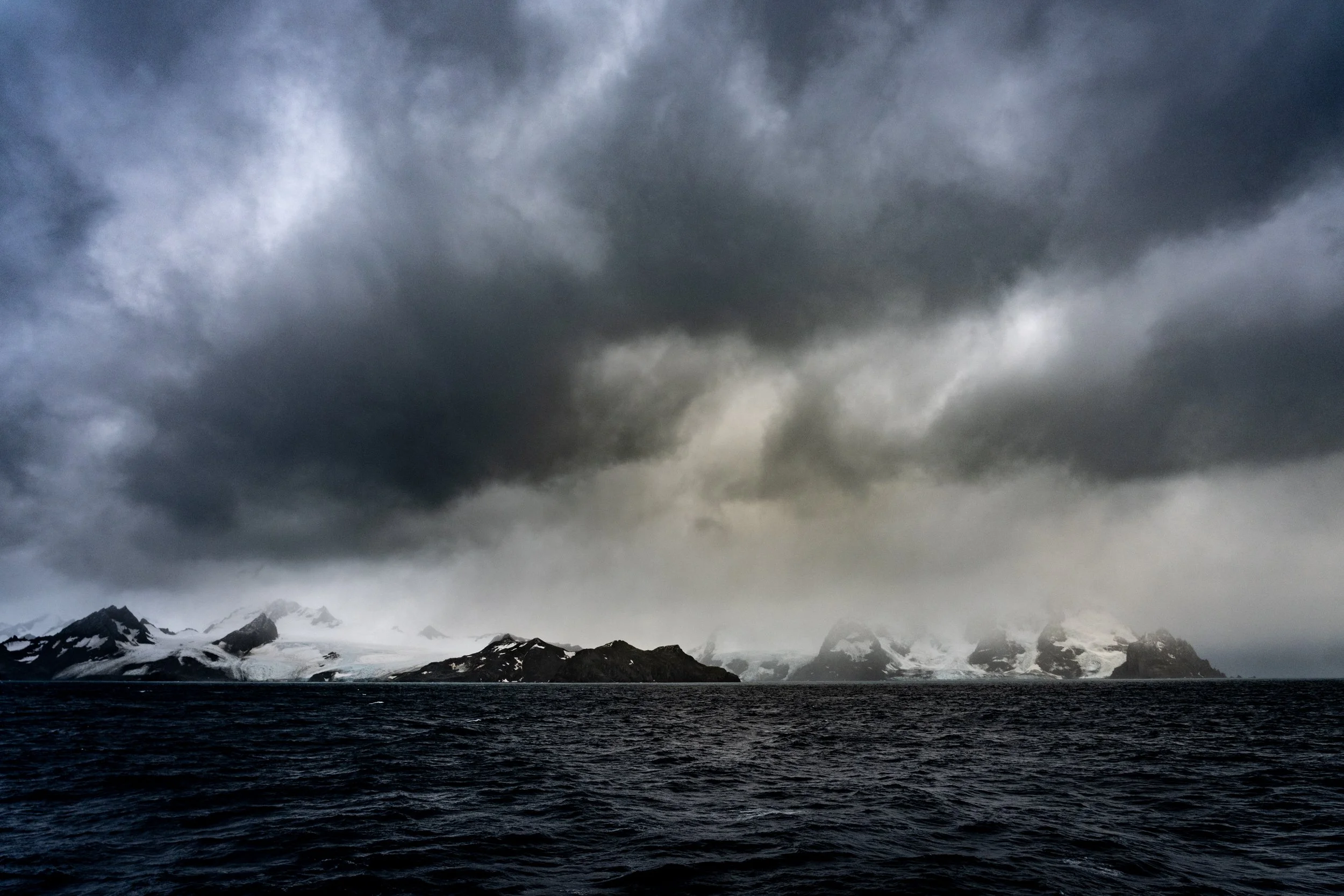 Elephant Island- 20250307 - 00520.jpg