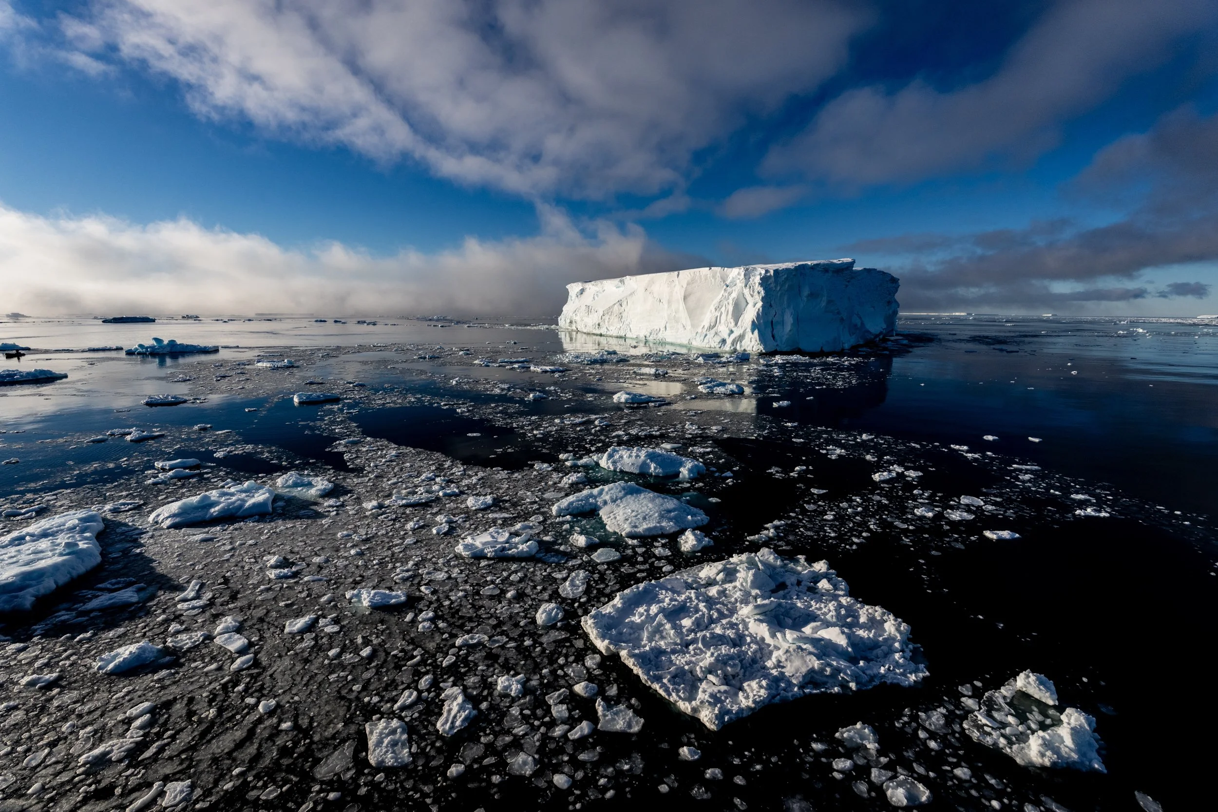 Weddell Sea  - 20240227 - 00028.jpg