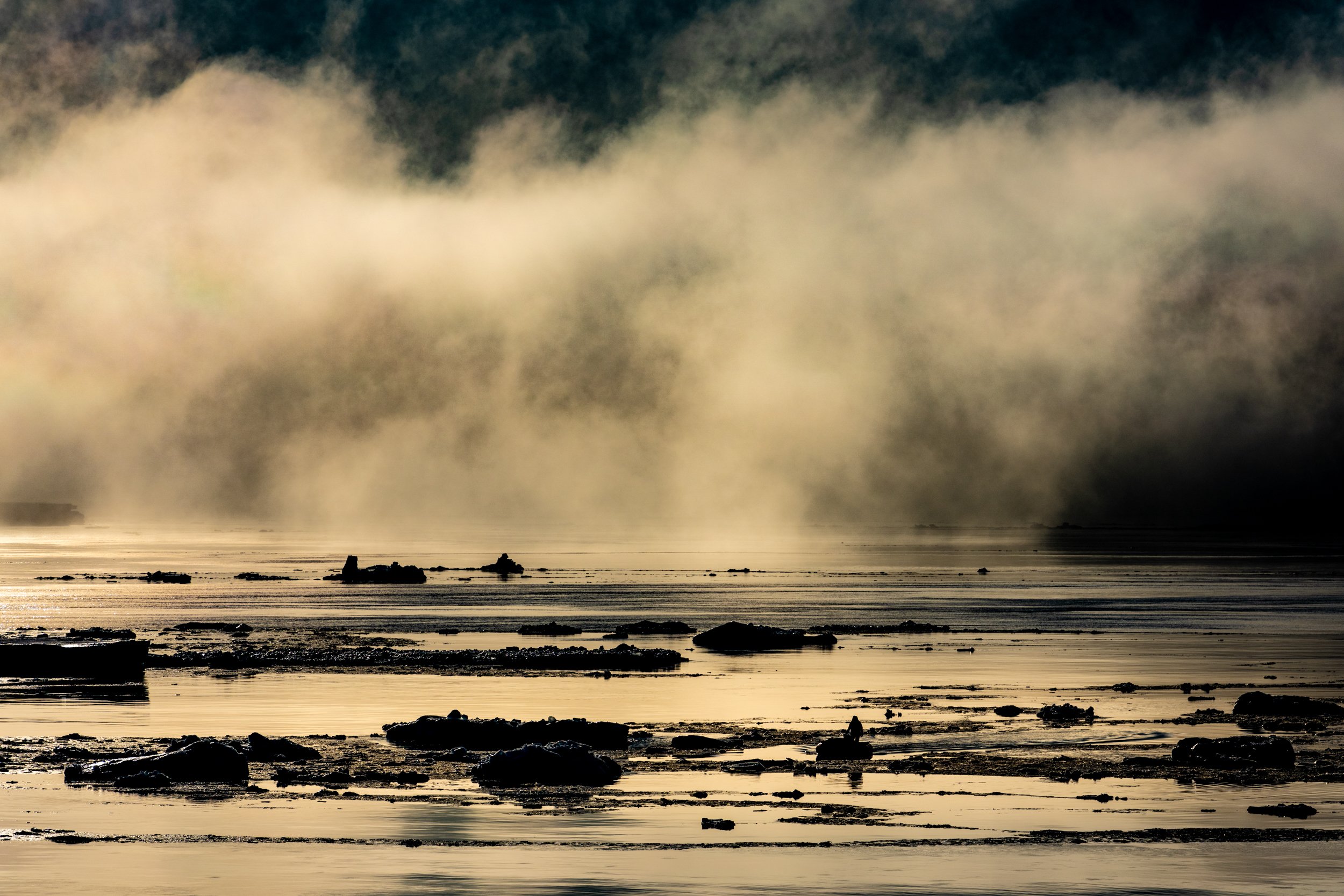 Weddell Sea  - 20250227 - 00356.jpg