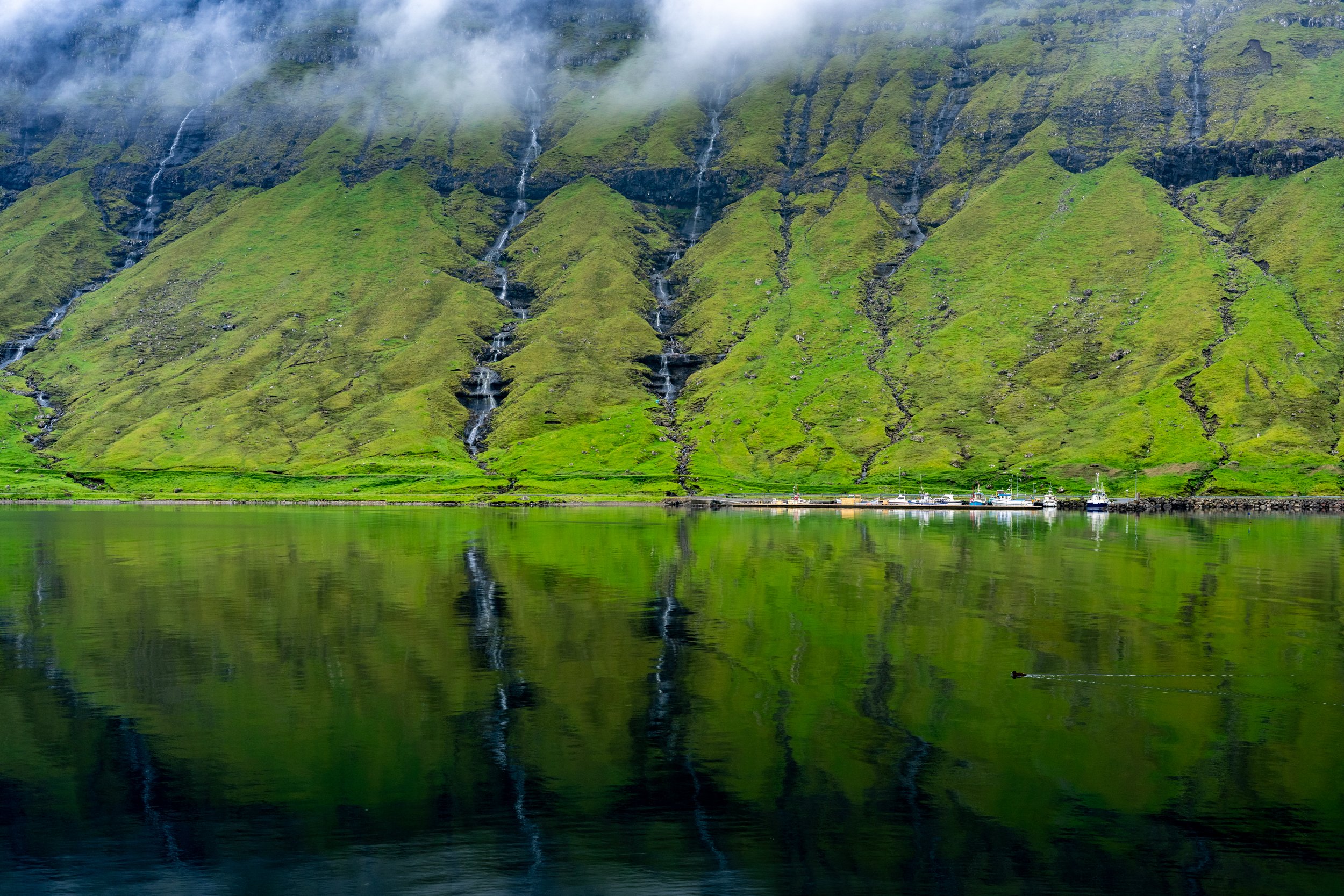 2025 Faroe Islands- 06132025 - 01741.jpg