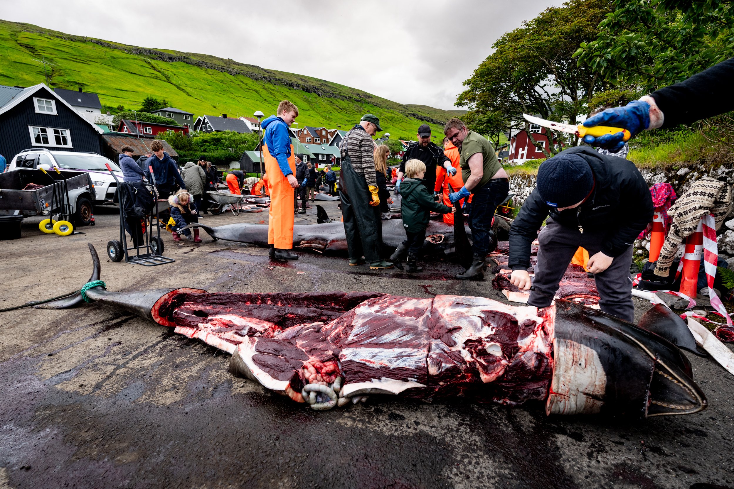 2025 Faroe Islands- 06132025 - 01348.jpg