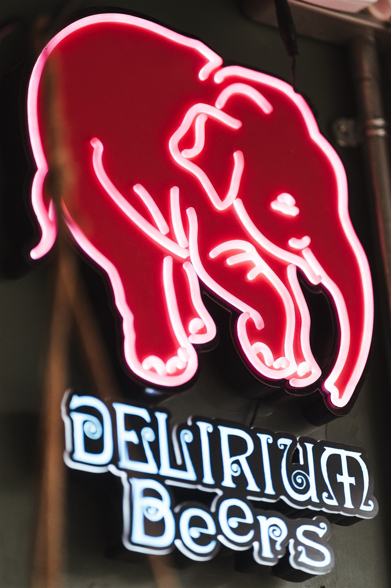 DELIRIUMS PINK ELEPHANT MIGRATION