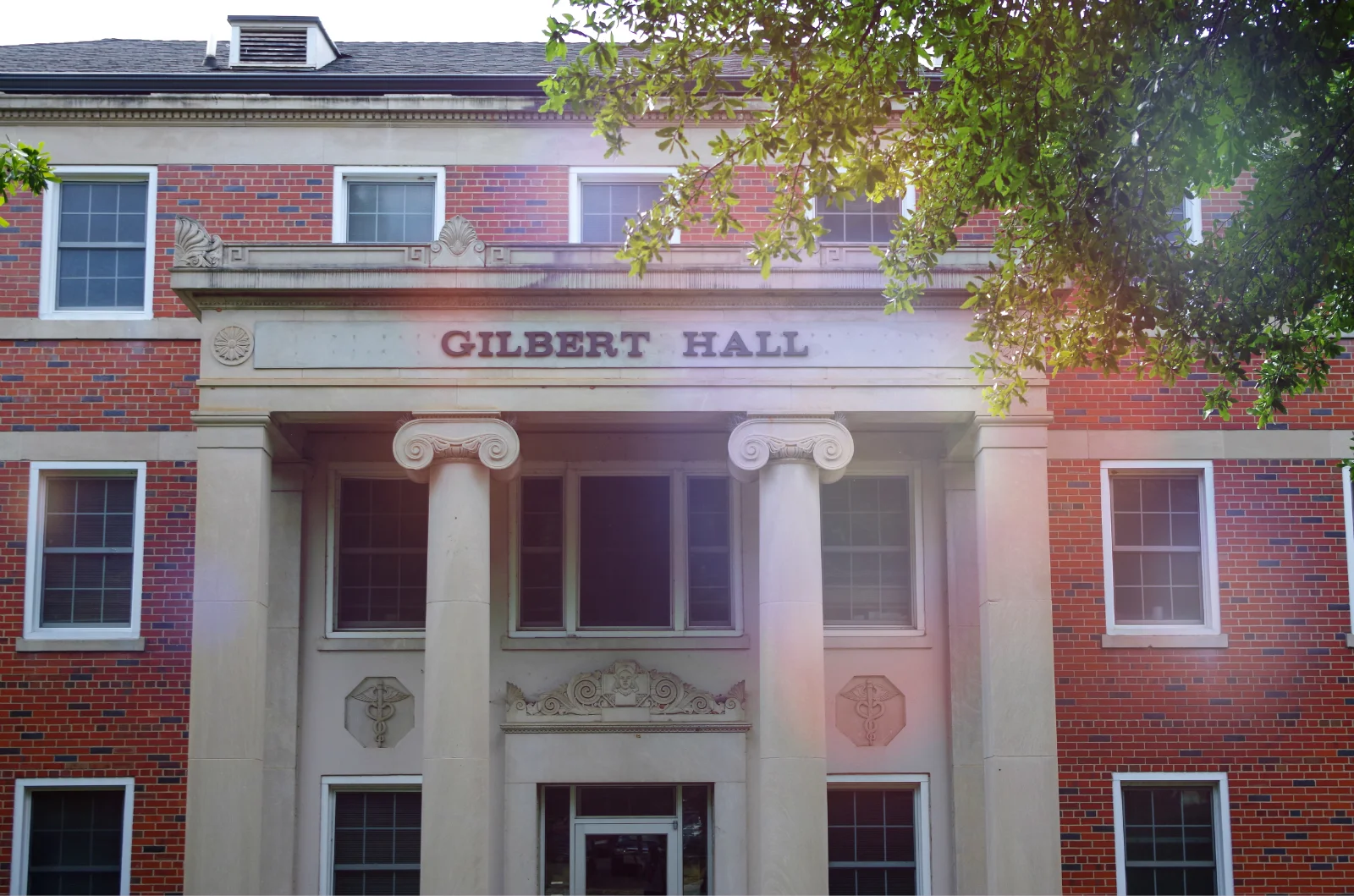 Gilbert.jpg