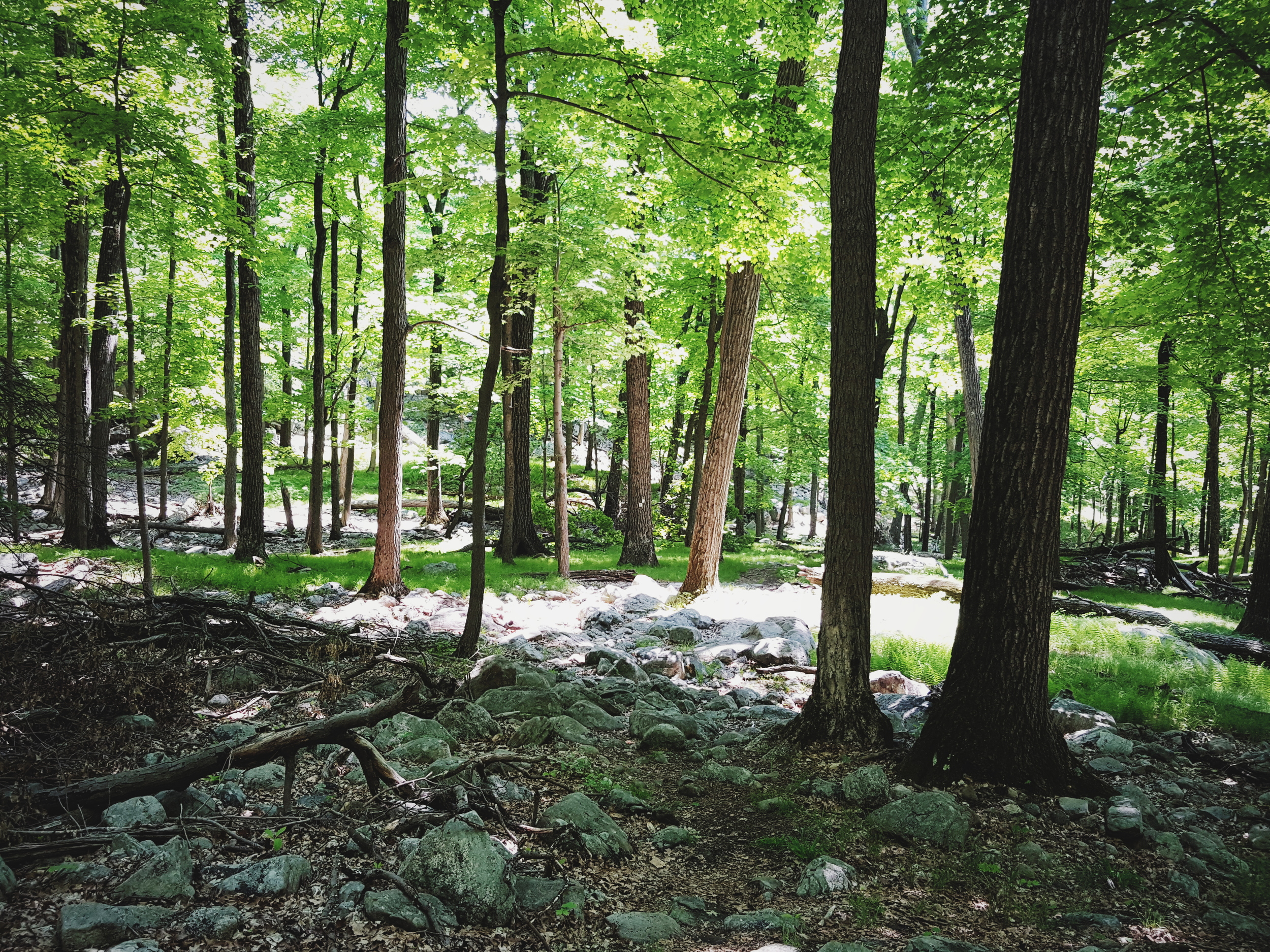 2016-05-29 09.22.22 1.jpg