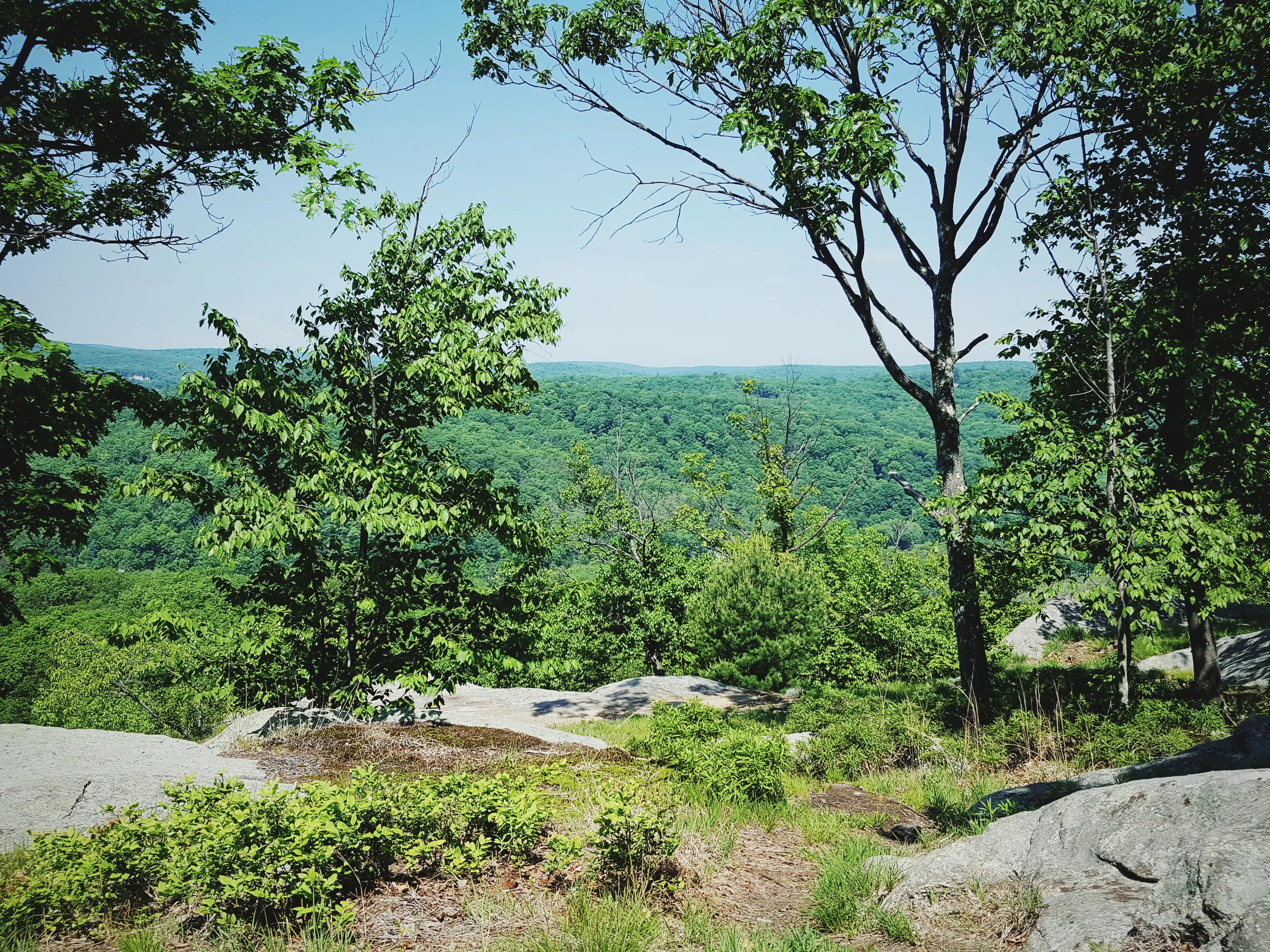 2016-05-29 09.22.32 1.jpg