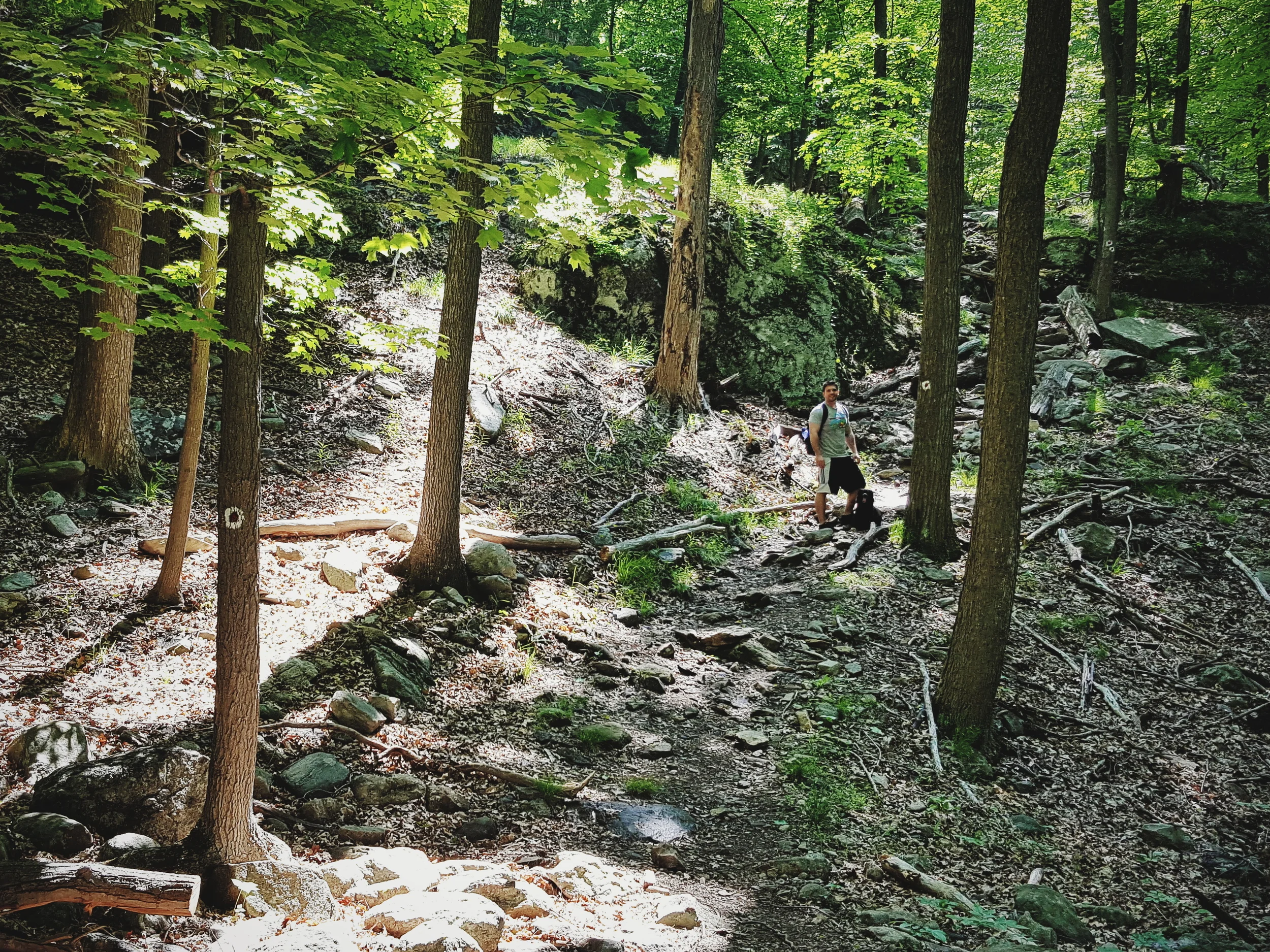 2016-05-29 09.22.35 1.jpg