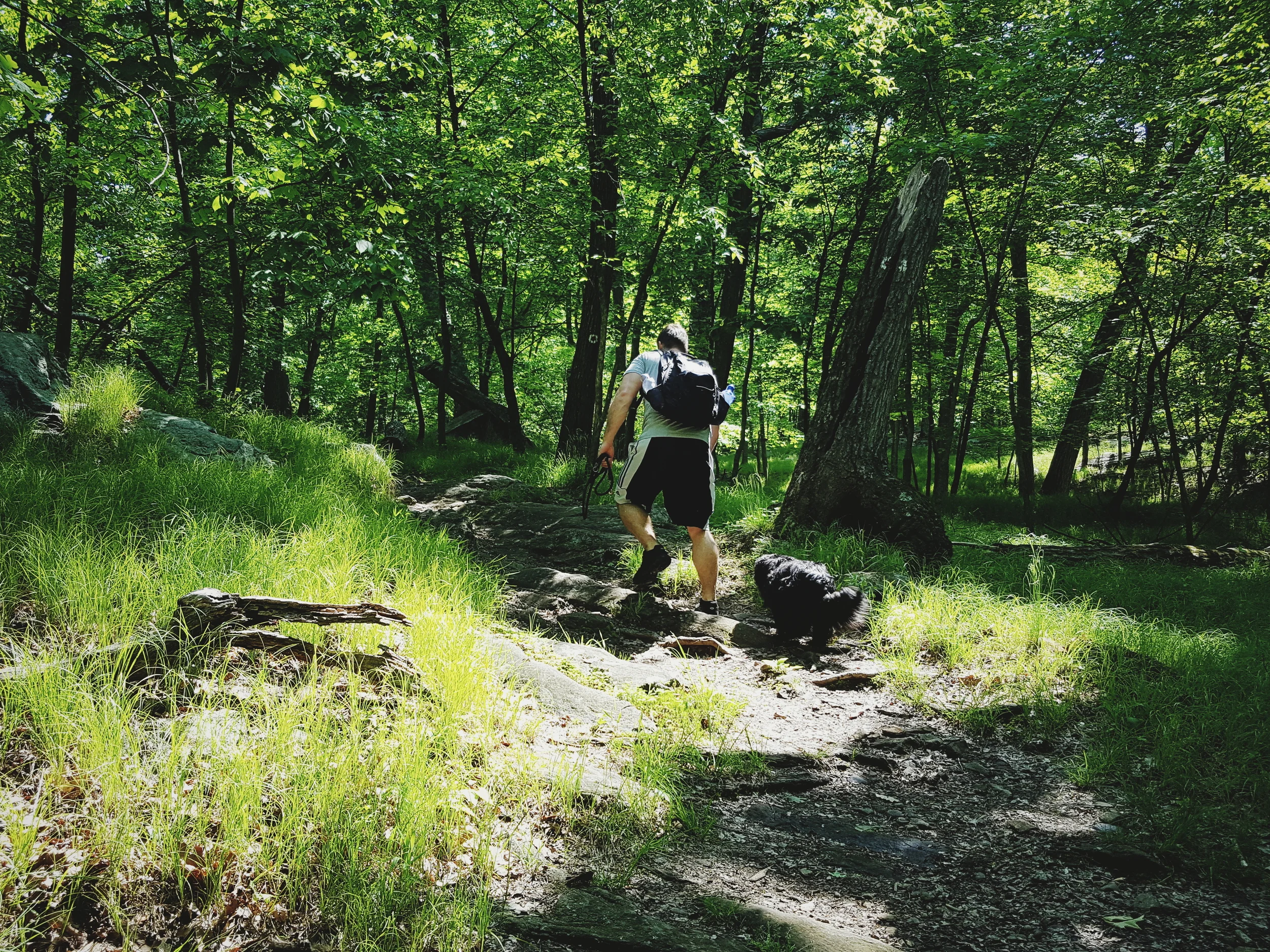 2016-05-29 09.22.38 1.jpg