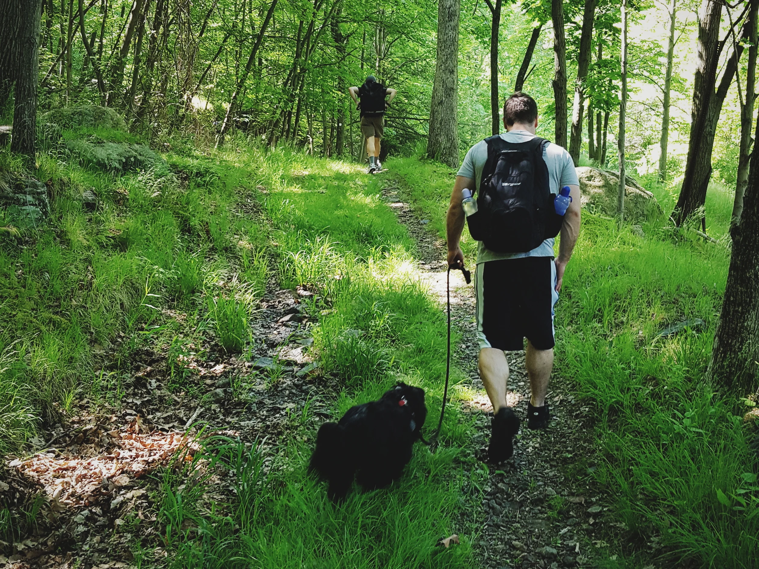 2016-05-29 09.22.42 1.jpg