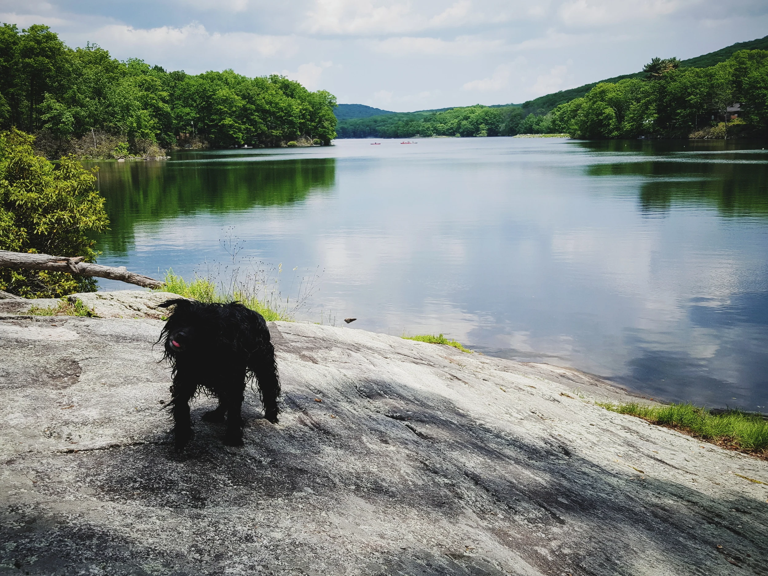 2016-05-29 09.22.09 1.jpg