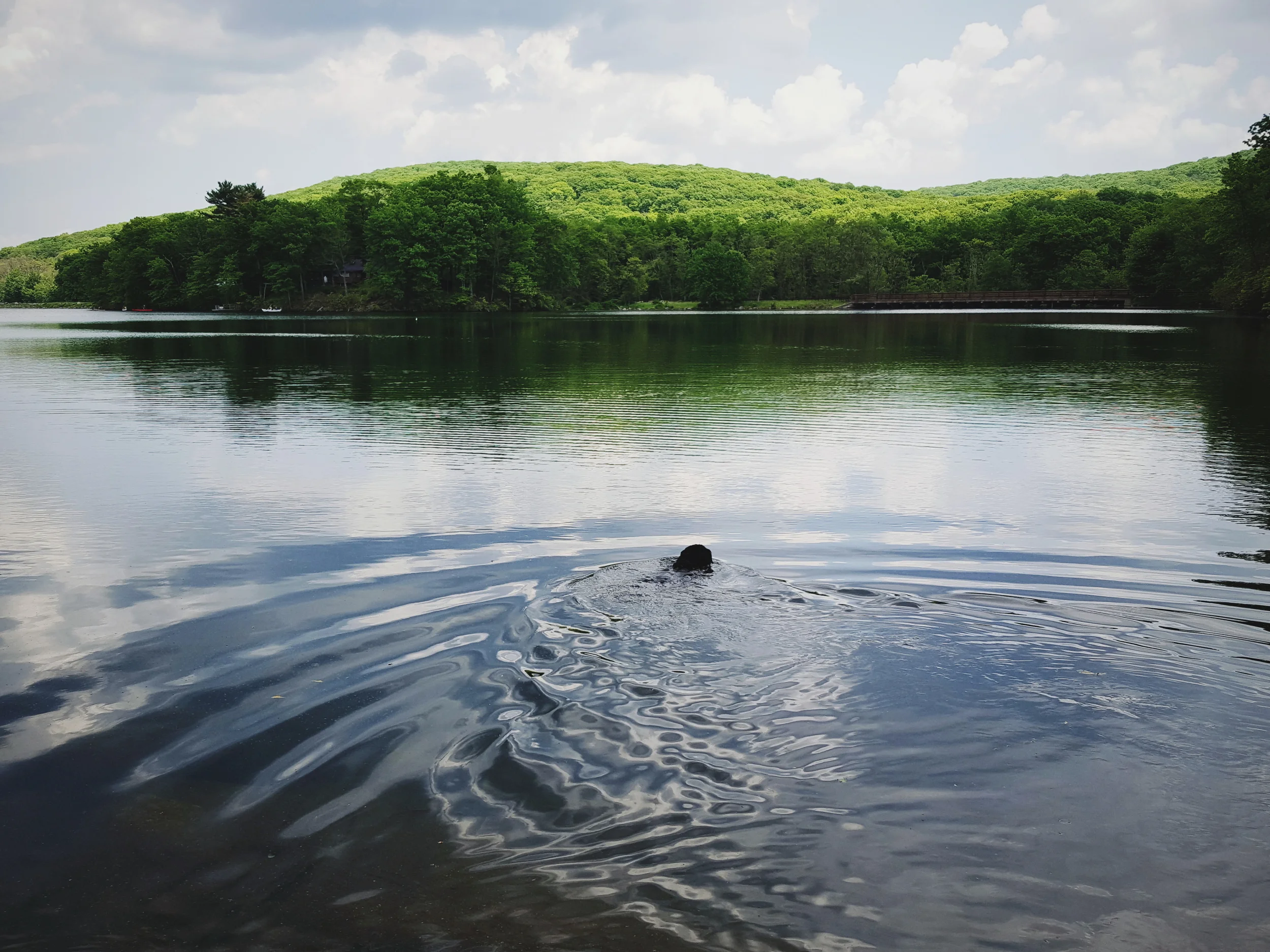 2016-05-29 09.22.12 1.jpg