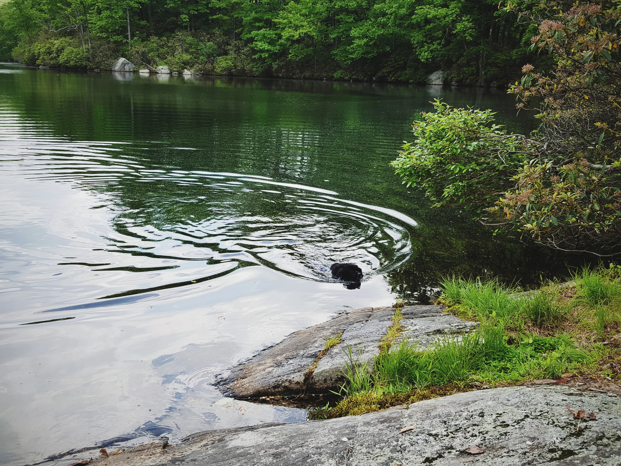 2016-05-29 09.22.13 1.jpg