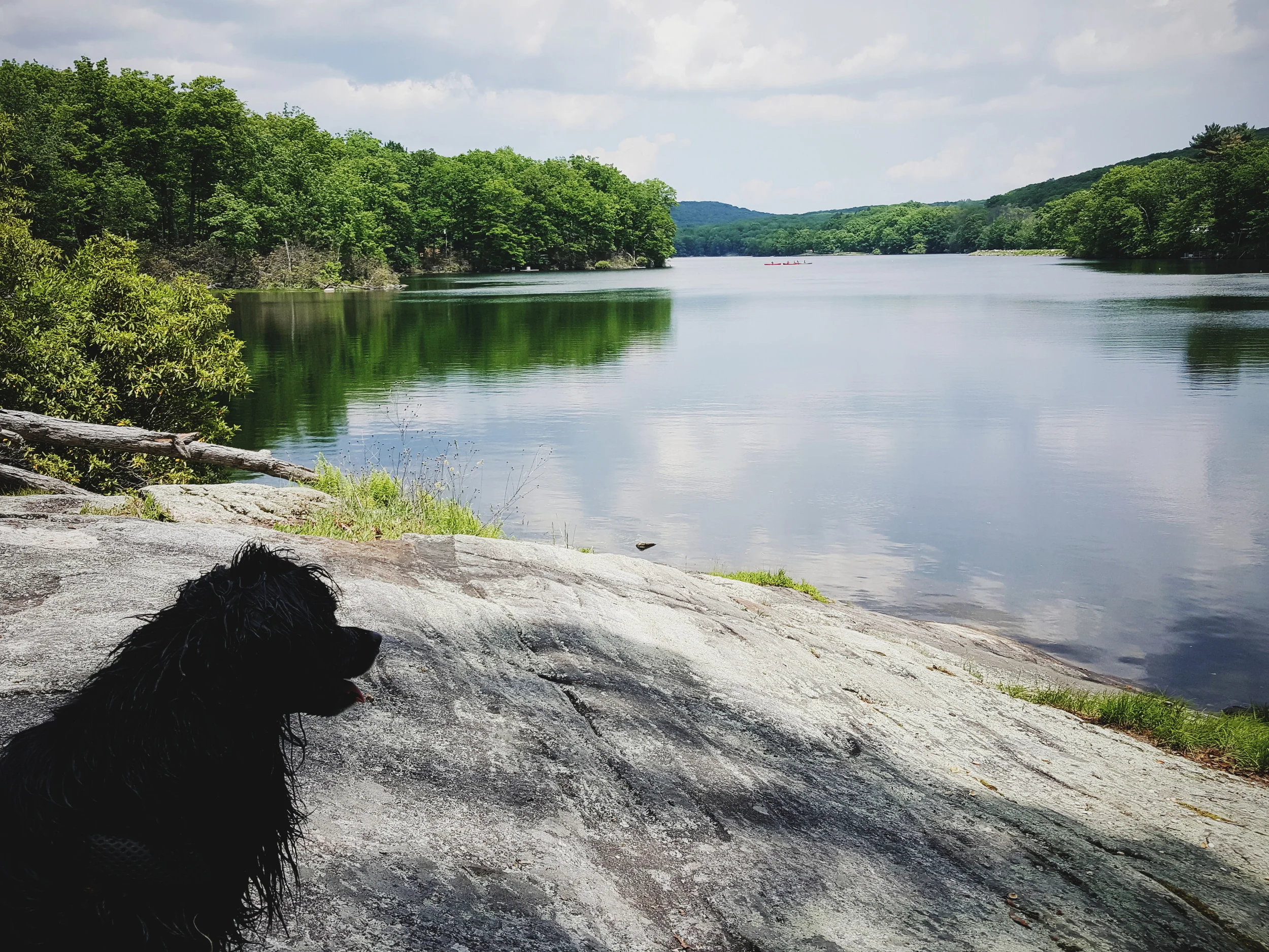 2016-05-30 01.57.29 1.jpg