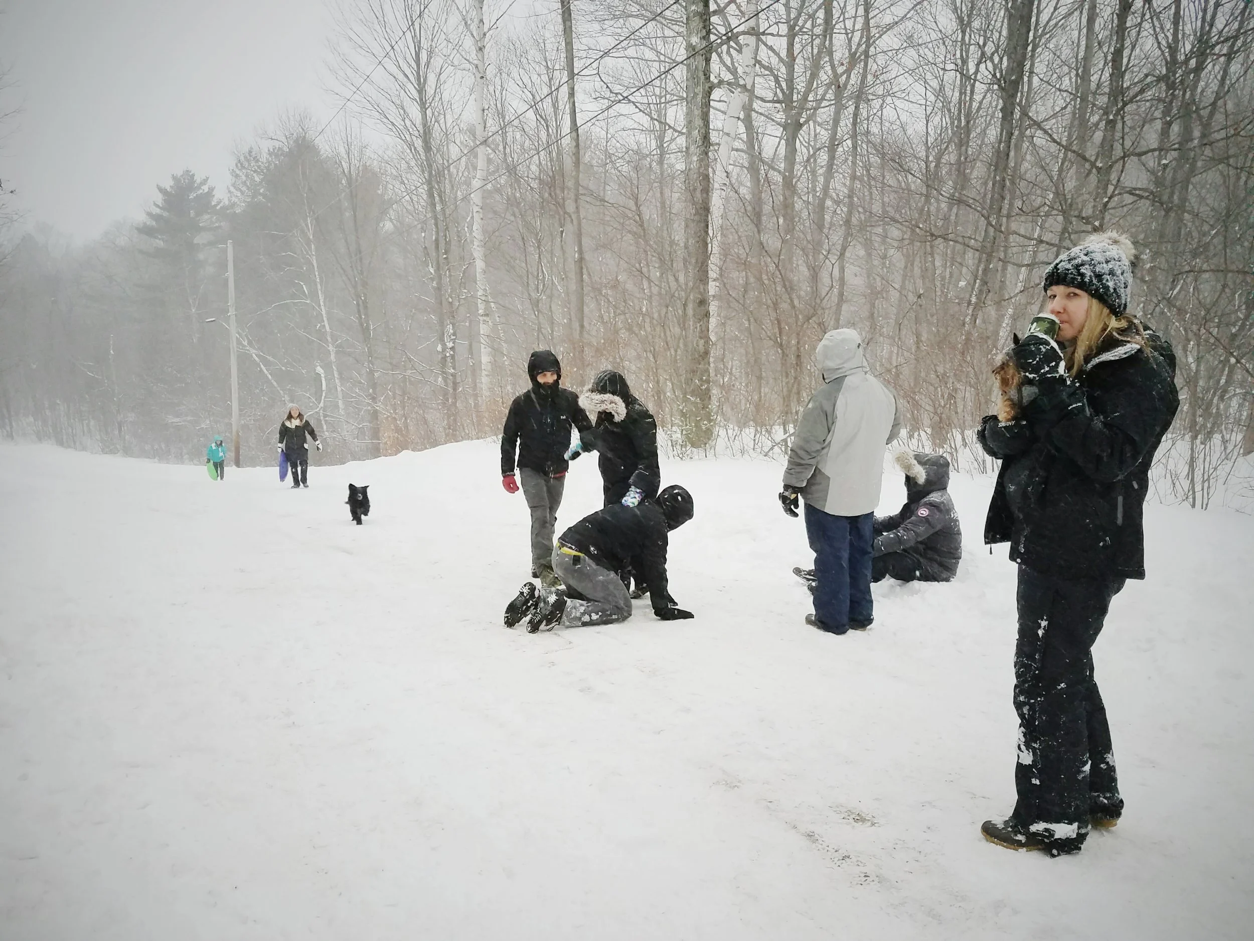 2017-02-13 10.22.48 1.jpg