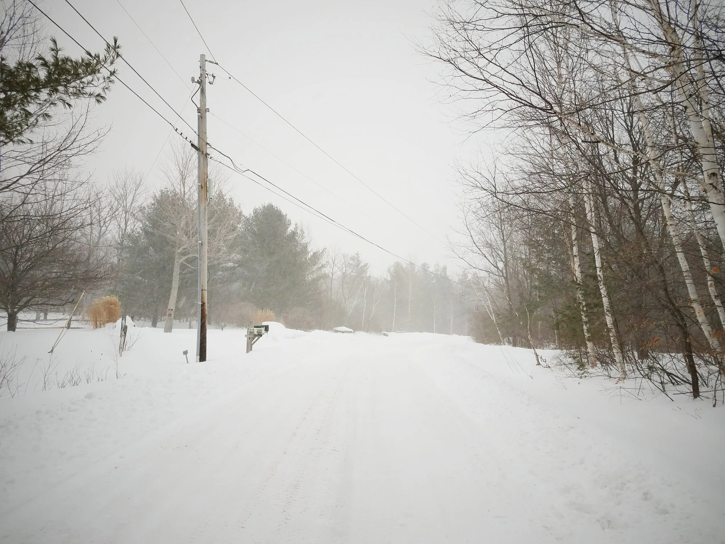 2017-02-13 10.22.49 1.jpg