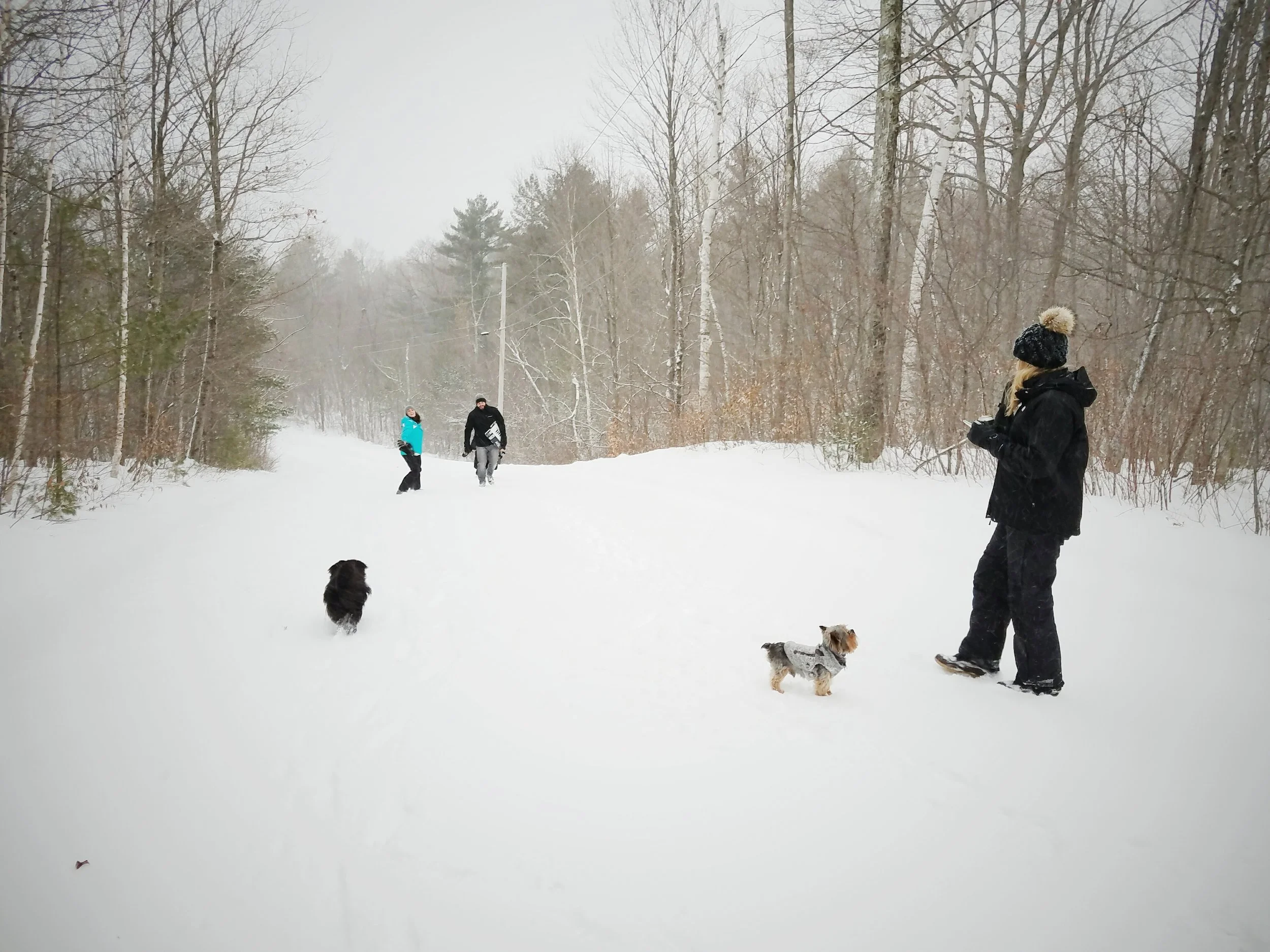 2017-02-13 10.22.50 1.jpg